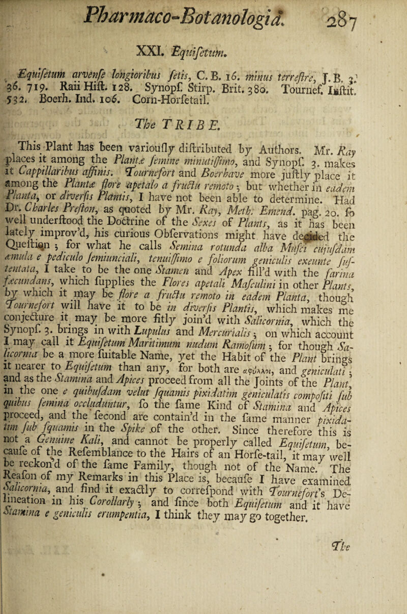 XXI. Equifetuhi. Equifitum arvenfi longioribus fit is, C.B. 16. minus terreftre, J.B 2' '36.719. RaiiHift. 128. Synopfi Stirp. Brit. 380. Tourrief. 532. Boerh. Ind. 106. Corh-Horfetail. •• > The TRIBE. This Plant has teen varioufly diftributed by Authors. Mr. Ray places it among the Plante fimine minuftjjimo, and Synopf. 3. makes it Cappillaribus affinis. Tournefort and Boerhave more juftly place it among the Plant# flare apetalo a fruclu remotebut whether in cad cm Planta, or droetfis Plantis, I have not been able to determine. Had Dr. Charles Pi eft on, as quoted by Mr. Ray, Metb.' Emend, pag. 20. fb well under flood the Dodlrine of the Sexes of Plants, as it has been lately improv’d, his curious Obfervations might have decided the Qudtion ; for what he calls Semina rotunda alba Mitfii cujufdam dinula e pediculo femiunciali, tenuiffimo e foliorum geniculis exeunte fuf- tentata, I take to be the one Stamen and Apex fill’d with the farina ficundans, which fupplies the Flores apetah Mafeulini in other Plants by which it may be flore a frttflu remoto in eadem Planta, though Tournefort will have it to be in diverfis Plantis, which makes me conjecture it may be more fitly join’d with Salicornia, which the oynopi. 3. brings in with Eupulus and Mercurialis -, on which account I may call it Equifitum Maritimum nudum Ramofum ; for though Sa- hcorma be a more fuitable Name, yet the Habit of the Plant brings it nearer to Equifitum than any, for both are and geniculati and as the .'.lamina and Apices proceed from all the Joints of the Plant m the one c quibufdam velut fquamis pixidatim geniculatis eompofiti ful quibus femina occluduntur, fo the fame Kind of Stamina and Apices proceed, and the fecond are contain d in the fame manner pixida¬ tim fib jquamts in the Spike .of the other. Since therefore this is not a Genuine Kali and cannot be properly called Equifitum, be¬ came of the Refemblance to the Hairs of an Horfe-tail, it may well be reckon d of the fame Family, though not of the Name The Reafon of my Remarks in this Place is, becaufe I have examined oaticorma, and find it exadly to correfpond with Tournefort’s De¬ lineation in his Corollarlyand fince both Equifitum and it have stamina e geniculis erumpentia, 1 think they may go together.