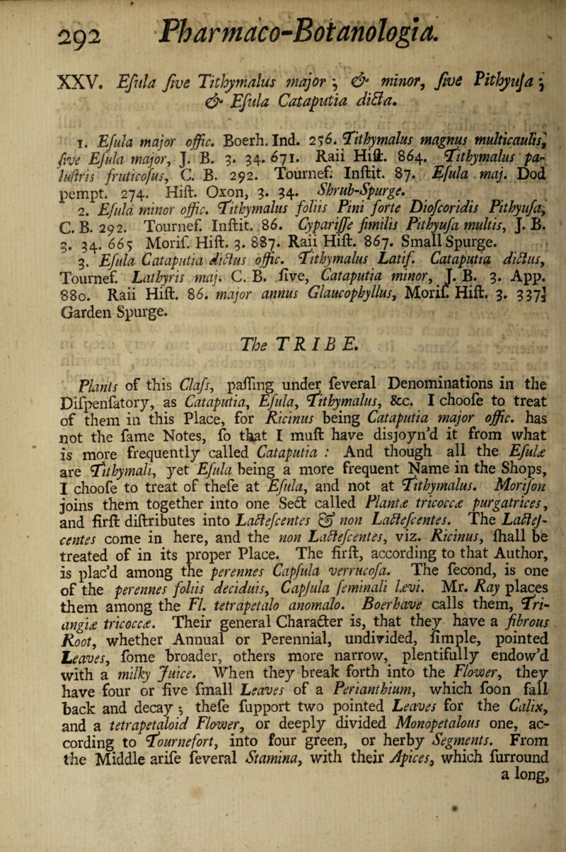 XXV. Efula five Tithymalus major y & minor, five Pithyuja j & Efula Cataputia diEla. 1. Efula major offic. Boerh.IncL 256.Tithymalus magnus multicauhs] five EJula major, J. B. 3. 34. 671. Raii Hift. 864. tithymalus fa- luftris fruticofus, C. B. 292. Tournef Inftit. 87. Efula maj. Dod pempt. 274. Hift. Oxon, 3* 34- Shrub-Spurge. 2. Efula minor offic. tithymalus foliis Pini forte Diofcoridis Pithyufi; C. B. 292. Tournef. Inftit. 86. Cypariffe fimilis Pithyufa multis, J. B. 3. 34. 665 Morif. Hift. 3. 887. Raii Hift. 867. Small Spurge. 3. Efula Caiaputia diftus offic. tithymalus Latif. Cataputia diftusy Tournef. Lathyris maj. C. B. five, Cataputia minor, J. B. 3. App. 880. Raii Hift. 86. ura/or apar Glaucophyllus, Morif. Hift. 3. 337J Garden Spurge. The TRIBE. Plants of this Clafs, palling under feveral Denominations in the Difpenfatory, as Cataputia, Efula, tithymalus, &c. I choofe to treat of them in this Place, for Ricinus being Cataputia major offic. has not the fame Notes, fo that I muft have disjoyn’d it from what is more frequently called Cataputia : And though all the EfuU are tithymah, yet Efula being a more frequent Name ill the Shops, I choofe to treat of thefe at Efula, and not at tithymalus. Morifon joins them together into one Sect called Plant# tricoccce purgatrices, and firft diftributes into Lattefcentes & non Lattefcentes. The LafteJ- centes come in here, and the non Laftefcentes, viz. Ricinus, fhall be treated of in its proper Place. The firft, according to that Author, is plac’d among the perennes Capfula verrucofa. The fecond, is one of the perennes foliis deciduis, Capjula feminali Uvu Mr. Ray places them among the FL tetrapetalo anomalo. Boerhave calls them, tri¬ angle tricocce. Their general Character is, that they have a fibrous Root, whether Annual or Perennial, undivided, fimple, pointed Leaves, fome broader, others more narrow^ plentifully endow’d with a milky Juice. When they break forth into the Flower, they have four or five fmall Leaves of a Perianthium, which foon fall back and decay *, thefe fupport two pointed Leaves for the Calixy and a tetrapetaloid Flower, or deeply divided Monopetalous one, ac¬ cording to tournefort, into four green, or herby Segments. From the Middle arife feveral Stamina, with their Apices9 which furround a long.