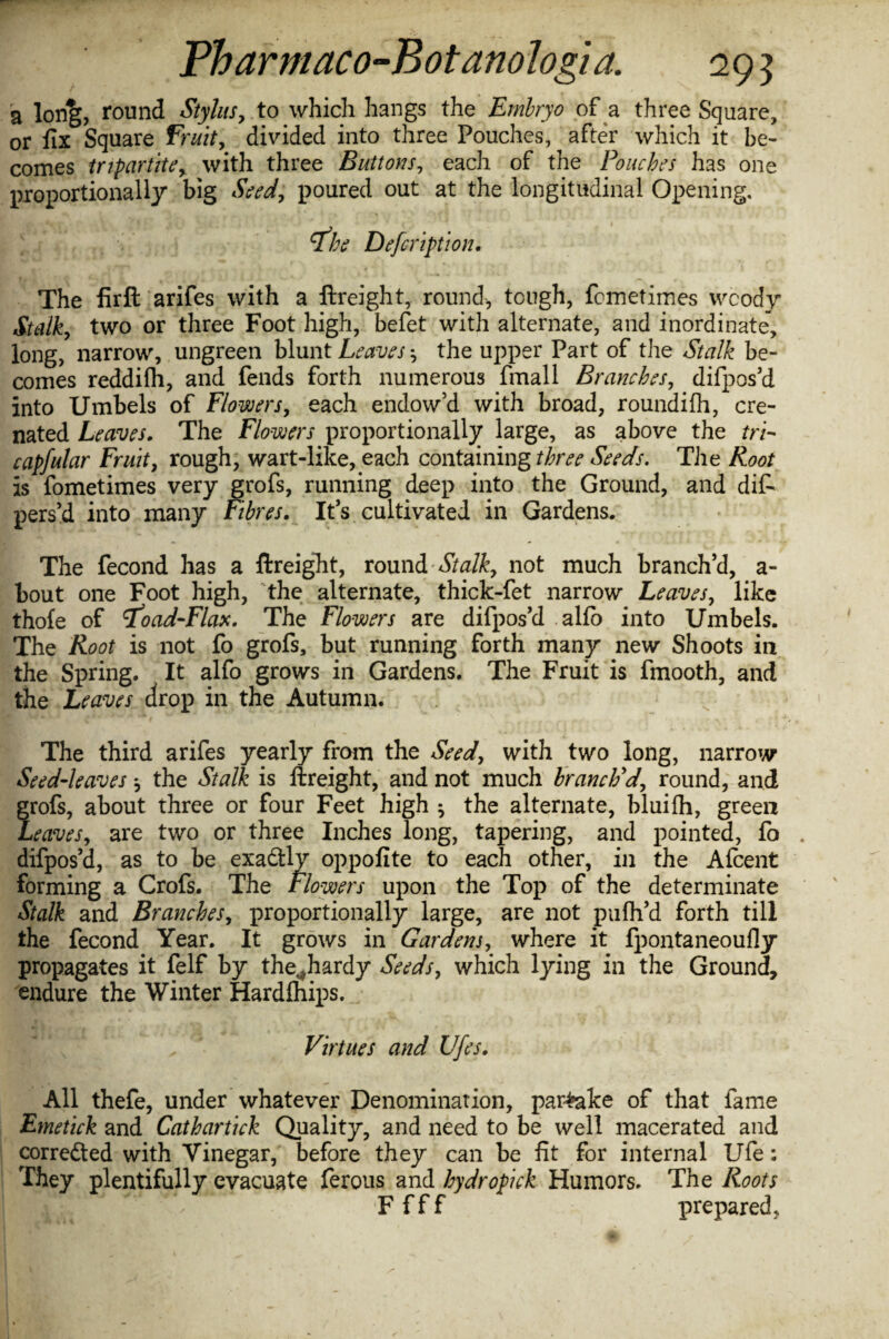 a lon%, round Stylus, to which hangs the Embryo of a three Square, or fix Square Fruit, divided into three Pouches, after which it be¬ comes tripartite, with three Buttons, each of the Pouches has one proportionally big Seed, poured out at the longitudinal Opening, rfhe Defcription. The firft arifes with a ftreight, round, tough, fometimes woody Stalk, two or three Foot high, befet with alternate, and inordinate, long, narrow, ungreen blunt Leaves the upper Part of the Stalk be¬ comes reddifli, and fends forth numerous fmall Branches, difpos’d into Umbels of Flowers, each endow’d with broad, roundifli, cre- nated Leaves. The Flowers proportionally large, as above the trP capfular Fruit, rough, wart-like, each containing three Seeds. The Root is fometimes very grofs, running deep into the Ground, and dis¬ pers’d into many Fibres. It’s cultivated in Gardens. The fecond has a ftreight, round Stalk, not much branch’d, a- bout one Foot high, the alternate, thick-fet narrow Leaves, like thole of rfoad-Flax. The Flowers are difpos’d alfo into Umbels. The Root is not fo grofs, but running forth many new Shoots in the Spring. It alfo grows in Gardens. The Fruit is fmooth, and the Leaves drop in the Autumn. The third arifes yearly from the Seed, with two long, narrow Seed-leaves *, the Stalk is ftreight, and not much branch'd, round, and grofs, about three or four Feet high ^ the alternate, bluifli, green Leaves, are two or three Inches long, tapering, and pointed, fo , difpos’d, as to be exactly oppofite to each other, in the Afcent forming a Crofs. The Flowers upon the Top of the determinate Stalk and Branches, proportionally large, are not pu fil’d forth till the fecond Year. It grows in Gardens, where it fpontaneoufly propagates it felf by the,,hardy Seeds, which lying in the Ground, endure the Winter Hardlhips. Virtues and Ufes. All thefe, under whatever Denomination, partake of that fame Emetick and Cathartick Quality, and need to be well macerated and corrected with Vinegar, before they can be fit for internal Ufe: They plentifully evacuate ferous and hydropick Humors. The Roots F f f f prepared,