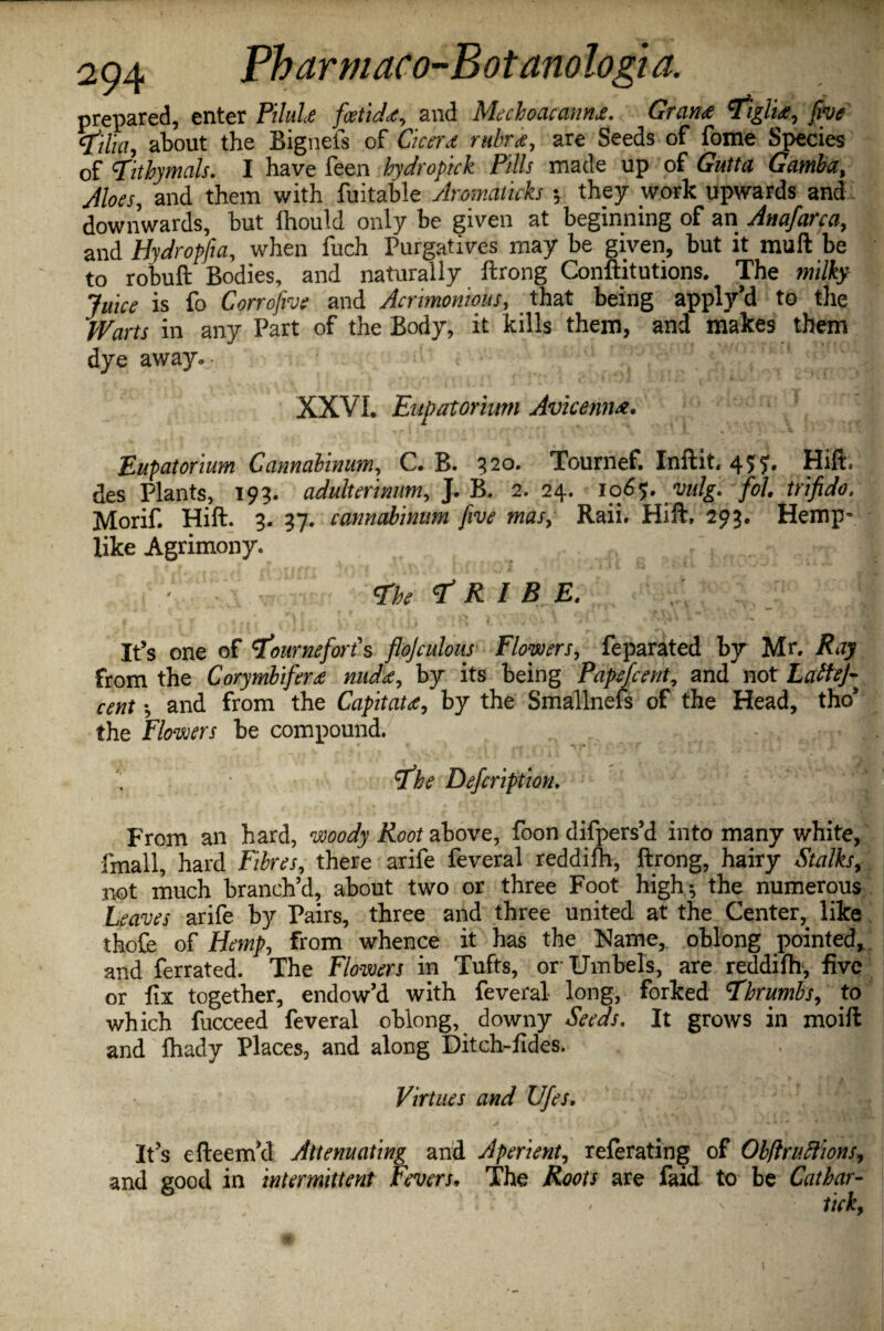 prepared, enter Pilule fietidd, and Mechoacannd. Grant *tiglit, (be rfilia, about the Bignefs of Cicerd rubrt, are Seeds of fome Species of Tithymals. I have feen hydropick Pills made up of Gutta Gamba, Aloes, and them with fuitable Amnaticks •, they work upwards and downwards, but Ihould only be given at beginning of an Anafarca, and Hydropfia, when fuch Purgatives may be given, but it mull be to robuft Bodies, and naturally ftrong Conftitutions. The milky Juice is fo Corrofive and Acrimonious, that being apply’d to the IVarts in any Part of the Body, it kills them, and makes them dye away*. * V XXVI. Enpatorium Avicenn#. Eupatorium Cannahinum, C. B. 320. Tournef. Inftit, 455*. Hift. des Plants, 193. adulterinum, J. B. 2. 24. 106$. vulg. foL trifido. Morif. Hift. 3. 37. cannahinum five mas, Raii. Hift, 293. Hemp* like Agrimony. tfhe R l B E. It’s one of bourne fort’s flojculous Flowers, feparated by Mr. Ray from the Corymbifert nudt, by its being Papefcent, and not LatteJ- cent *, and from the Capitatd, by the Smallnefs of the Head, the* the Flowers be compound. tfhe Defcription. From an hard, woody Root above, foon difpers’d into many white, finall, hard Fibres, there arife feveral reddifh, ftrong, hairy Stalks, not much branch’d, about two or three Foot high* the numerous Leaves arife by Pairs, three and three united at the Center, like thofb of Hemp, from whence it has the Name, oblong pointed, and ferrated. The Flowers in Tufts, or- Umbels, are reddifh, five or fix together, endow’d with feveral long, forked Thrumbs, to which fucceed feveral oblong, downy Seeds. It grows in moift and fhady Places, and along Ditch-fides. , Virtues and Ufes, It’s efteeirul Attenuating and Aperient, referating of Obftruftions, and good in intermittent Fevers. The Roots are faid to be Cathar- • ' ticky