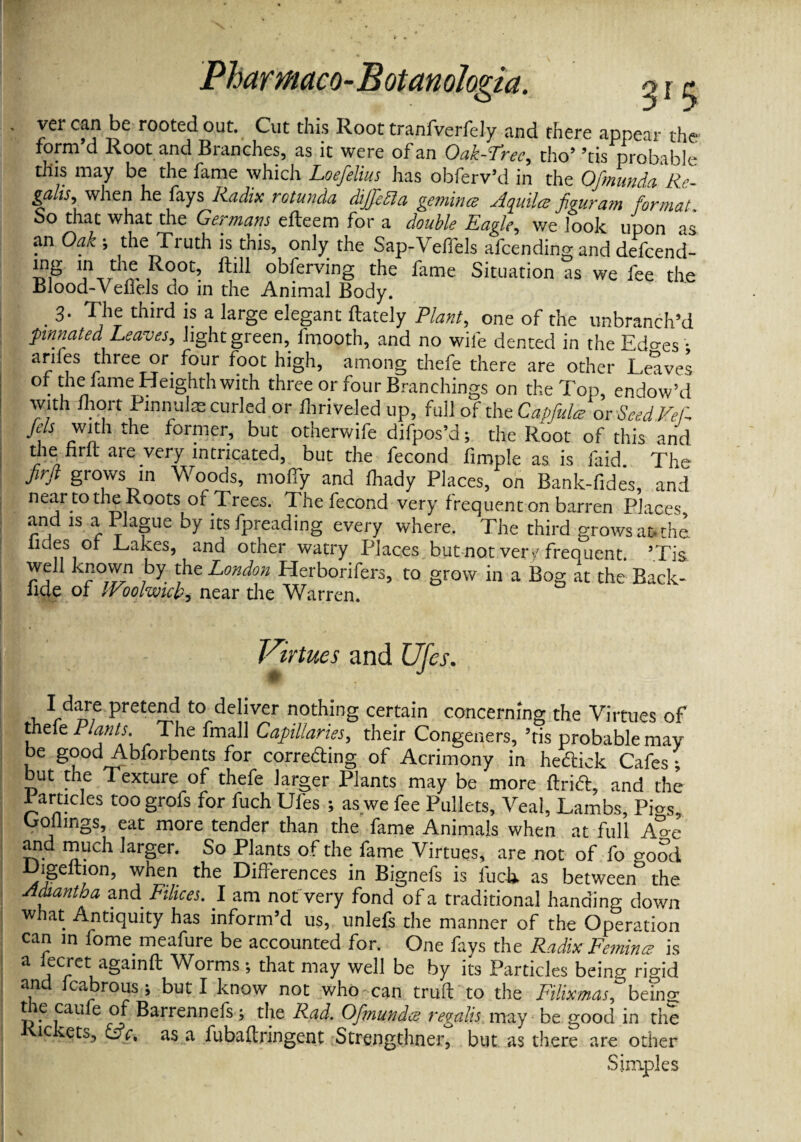 vei can be rooted out. Cut this Root tranfverfely and there appear the form d Root and Branches, as it were of an Oak-Lree, tho’ 5tis probable this may be the fame which Loefelius has obferv’d in the Ofmunda Re- gfi ts, when he fays Radix rotunda dijjedla gemince Aquilee figura?n format. So that what the Germans efteem for a double Eagle, we look upon as an Oak \ the Truth is tnis, only the Sap-Veffels afcending and defcend- tr /r ^ooc> obferving the fame Situation as we fee the Blood-Vefiels do in the Animal Body. . 3- The third is a large elegant flately Plant, one of the unbranch’d pinnated Leaves, light green, lmooth, and no wife dented in the Edo-es • ariles three or four foot high, among thefe there are other Leaves of the fame Heighth with three or four Branchings on the Top, endow’d with mort Pinnulm curled or fhriveled up, full of the Capfulce or Seed Vef fils with the former, but otherwife difpos’d; the Root of this and the firlt are yery intricated, but the fecond fimple as is laid The firft grows in Woods, molly and Ibady Places, on Bank-fides, and near to the Roots of Trees. The fecond very frequent on barren Places 1S % yague bY its fpreading every where. The third grows at-the. ndes of Takes, and other watry Places but not ven/frequent. ’.Tis well Known by the London Herborifers, to grow in a Bog at the Back* iide of IVoolwick'i near the Warren. Virtues and Ufes. I dare pretend to deliver nothing certain concerning the Virtues of thele Plants. The fmall Capillaries, their Congeners, ’ris probable may be good Abforbents for correcting of Acrimony in hedtick Cafes • but the Texture of thefe larger Plants may be more ftri<5L and the 1 articles too grofs for fuch Ufes ; as we fee Pullets, Veal, Lambs, Pi«s„ Coflings, eat more tender than the fame Animals when at full J&c and much larger. So Plants of the fame Virtues, are not of fo good Digeftion, when the Differences in Bignefs is fuch. as between the Aaantba and Filices. I am not very fond of a traditional handing down what Antiquity has inform’d us, unlefs the manner of the Operation can in fome meafure be accounted for. One fays the Radix Femme is a iecret againft Worms ; that may well be by its Particles being rigid and lcabrous; but I know not who can truft to the Filixmas, beincr t e caufe of Barrenneis ; the Rad. Ofmundce regalis may be good in the ic tets, as a fubaftringent Strengthner, but as there are other Simples