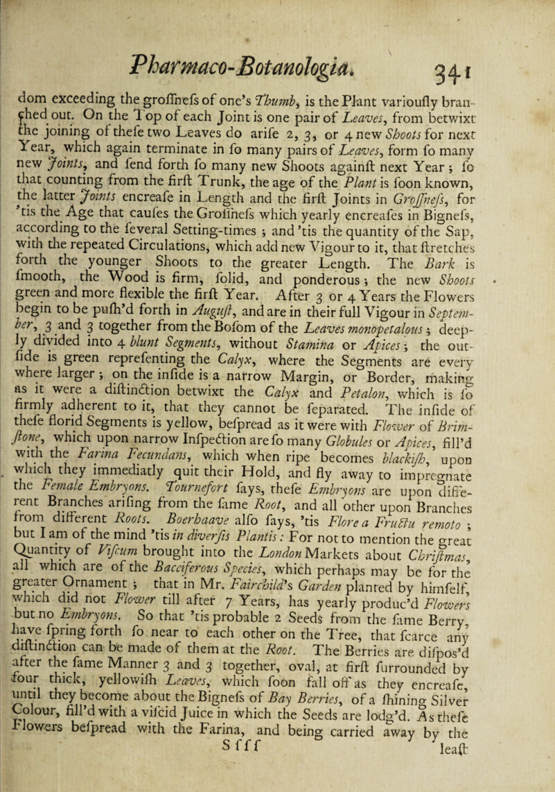 dom exceeding the grofibefs of one’s Thumb, is the Plant varioufly bran¬ ched out. On the T. op of each Joint is one pair of Leaves, from betwixt the joining oftheletwo Leaves do arife 2, 3, or 4 new Shoots for next Year, which again terminate in fo many pairs of Leaves, form fo many new Joints, and fend forth fo many new Shoots againft next Year ; fo that counting from the firft Trunk, the age of the Plant is foon known, the latter Joints encreafe in Length and the firft Joints in Grojfnefs, for tis the Age that cauies the Grolinefs which yearly encreafes in Bignefs, according to the leveral Setting-times ; and ’tis the quantity of the Sap, witn the repeated Circulations, which add new Vigour to it, that ftretches forth the younger Shoots to the greater Length. The Bark is imooth, the Wood is firm, folid, and ponderous ; the new Shoots green and more flexible the firft Year. After 3 or 4 Years the Flowers begin to be pufh’d forth in Auguft, and are in their full Vigour in Septem¬ ber^ 3 and 3 together from the Bofom of the Leaves ?nonopetalous deep¬ ly divided into 4 blunt Segments, without Stamina or Apices \ the out- fide is green reprefenting the Calyx, where the Segments where larger ; on the infide is a narrow Margin, or Border, making as it were a diftindtion betwixt the Calyx and Petalon, which is fo firmly adherent to it, that they cannot be feparated. The infide of thefe florid Segments is yellow, befpread as it were with Flower of Brim- ftone, which upon narrow Infpeftion arefo many Globules or A Dices, fill’d with the Farina Fecundans, which when ripe becomes blacktfh,' upon which they immediatly quit their Hold, and fly away to impregnate the Female Embryons. Fournefort fays, thefe Embryons are upon diffe¬ rent Branches arifing from the fitme Root, and all other upon Branches from different Roots. Boerhaave alfo fays, ’tis Flore a FruBu remote -, but I am of the mind ’tis in diverfis Plantis : For not to mention the great Quantity of Vifcum brought into the London Markets about Chriftmas, all which are of the Bacciferous Species, which perhaps may be for the greater Ornament ; that in Mr. Fairchild’s Garden planted by himfelf, which did not Flower till after 7 Years, has yearly produc’d Flowers but no Embryons. So that ’tis probable 2 Seeds from the fame Berry have fpring forth fo near to each other on the Tree, that fcarce any dutinchon can be made of them at the Root. The Berries are difpos’d after the fame Manner 3 and 3 together, oval, at firft furrounded by four thick, yellowiih Leaves, which foon fall off'as they encreafe, until they become about the Bignefs of Bay Berries, of a fhinin^ Silver Colour, fill’d with a vifcid Juice in which the Seeds are lodg’d. As thefe r lowers befpread with the Farina, and being carried away by the S f f f leaft