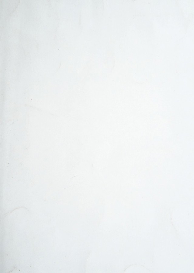 digitised image 1