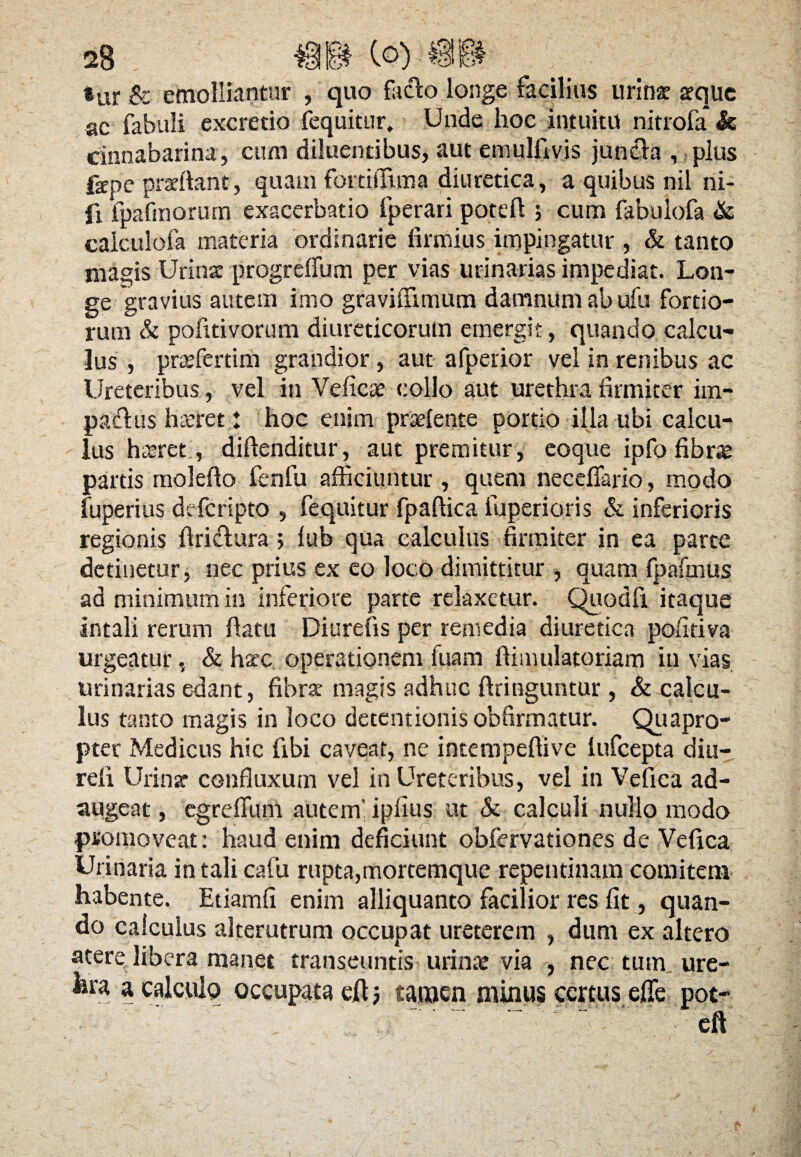 ®ur & emolliantur , quo facio longe facilius urinat aeque ac fabuli excretio fequitur, Unde hoc intuitu nitrofa & tinnabarina, cum diluentibus, aut emulfivis juncta , plus fepe praeftant, quam fortiffima diuretica, a quibus nil ni- ii fpafinorum exacerbatio fperari poteft ; cum fabulofa <k calculofa materia ordinarie firmius impingatur , & tanto magis Urinae progrefium per vias urinarias impediat. Lon¬ ge 'gravius autem imo gravifnmum damnum ab ufu fortio¬ rum & pofitivorum diureticorum emergit, quando calcu¬ lus , preefertim grandior , aut afperior vel in renibus ac Ureteribus, vel in Veficae collo aut urethra firmiter im- paftus lucret! hoc enim prasfente portio illa ubi calcu¬ lus haeret, diftenditur, aut premitur, eoque ipfo fibrae partis molefto fenfu afficiuntur , quem neceffario, modo fuperius defcripto , fequitur fpaftica fuperioris & inferioris regionis ftri&ura; fub qua calculus firmiter in ea parte detinetur, nec prius ex eo loco dimittitur , quam fpafmus ad minimum in inferiore parte relaxetur. Quoafi itaque intali rerum flatu Diurefis per remedia diuretica pofitiva urgeatur, & haec operationem luam fiimulatoriam in vias urinarias edant, fibra: magis adhuc ftringuntur, & calcu¬ lus tanto magis in loco detentionis obfirmatur. Quapro- pter Medicus hic fibi caveat, ne intempeftive lufcepta diu- refi Urinar confluxum vel in Ureteribus, vel in Vefica ad¬ augeat , egrefium autem’ iplius ut & calculi nullo modo promoveat: haud enim deficiunt obfervationes de Vefica Urinaria intalicafu rupta,mortemque repentinam comitem habente. Etiamfi enim alliquanto facilior res fit, quan¬ do calculus alterutrum occupat ureterem , dum ex altero atere libera manet transeuntis urinae via , nec tum ure- hra a calculo occupata cfi $ tamen minus certus efle pot- . ' cft i