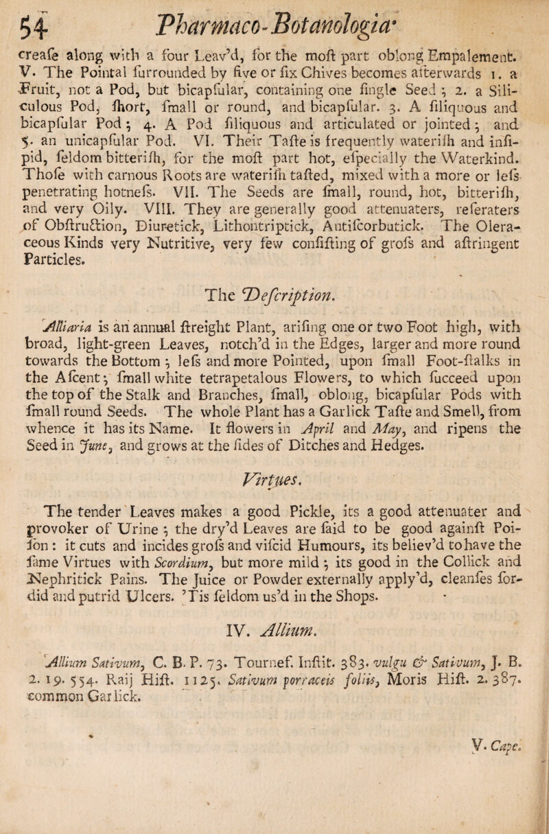 creaie along with a four Leav’d, for the mod part oblong Empalement. V. The Pointai fur rounded by five or fix Chives becomes afterwards i. a Truit, not a Pod, but bicapfular, containing one fingle Seed *, 2. a Sili- culous Pod, fhort, fmall or round, and bicapfular. 3. A filiquous and bicapfular Pod ; 4. A Pod filiquous and articulated or jointed } and 5. an unicapfular Pod. VI. Their Tafte is frequently waterilh and infi- pid, feldom bitterifh, for the mod part hot, efpecially the Waterkind. Thole with carnous Roots are wateriih taded, mixed with a more or lels penetrating hotnefs. VII. The Seeds are fmall, round, hot, bitterifh, and very Oily. VIII. They are generally good attenuates, referaters of ObdruTion, Diuretick, Lithontriptick, Antifcorbutick. The Olera- ceous Kinds very Nutritive, very few confiding of grofs and adringent Particles. ' The jDefcrifttion. Atliaria is ail annual dreight Plant, arifing one or two Foot high, with broad, light-green Leaves, notch’d in the Edges, larger and more round towards the Bottom } lefs and more Pointed, upon fmall Foot-dalks in the Afcent} fmall white tetrapetalous Flowers, to which fucceed upon the top of the Stalk and Branches, fmall, oblong, bicapfular Pods with fmall round Seeds. The whole Plant has a Garlick Tade and Smell, from whence it has its Name. It flowers in April and May^ and ripens the Seed in June? and grows at the fides of Ditches and Hedges. Virtues. The tender Leaves makes a good Pickle, its a good attenuate!' and provoker of Urine \ the dry’d Leaves are laid to be good againfl Poi- Ibn : it cuts and incides grofs and vifcid Humours, its believ’d to have the fame Virtues with Scordium, but more mild *, its good in the Collick and Nephritick Pains. The Juice or Powder externally apply’d, cleanfes for¬ did and putrid Ulcers. ’Tis feldom us’d in the Shops. IV. Allium. Allium Sativum, C. B. P. 73. Tournef. Inflit. 383. vulgu & Sativum, J. B. 2.19.554. Raij Hift. 1125. Sativum for ravels foliis} Moris Hifb 2.387. common Garlick. V. Cape.