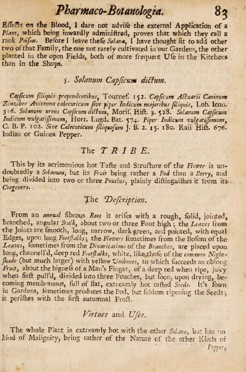 EffeJls on the Blood, I dare not advife the external Application of a Plant, which being inwardly adminiftred, proves that which they call a rank Poifion. Before I leave thefe Solan*, I have thought fit to add other two of that Family, the one not rarely cultivated in our Gardens, the other planted in the open Fields, both of more frequent Ule in the Kitchens than in the Shops. 5. Solarium Capficum diffum. Capficum fdlquls propendentibus, Tournef 152. Capficum Attuarii Caninum Zinz.iber Avicenna calecuticum five piper Indicum majoribus filiquis, Lob. Icon. 3 15. Solanum urens Capficum dittum, Morifi Hifh 3. 528. Solanum Capficum Indicum vulgatijfimum, Hort. Lugd* Bat. 574* Piper Indicum vulgatijfimum, C. B. P. 102. Sive Calecuticum filiquofum J. B. 2. 15. 180. Raii Hift. 676. Indian or Guinea Pepper. The TRIBE. This by its acrimonious hot Tafte and Structure of the Fiercer is un¬ doubtedly. a Solanum, but its Fruit being rather a Pod than a Berry, and being divided into two or three Pouches, plainly diftinguifhes it from its- Congeners. s The ‘Defcription. From an annual fibrous Root it arifes with a rough, folid, jointed, branched, angular Stalk, about two or three Foot high \ the Leaves from the Joints are fmooth, long, narrow, dark green, and pointed, with equal Edges, upon long Footftalks *, the Flowers fometimes from the Bofom of the Leaves, fometimes from the Divarications of the Branches, are placed upon long, channell d, deep red Footflalks, white, like thole of the common Night- fiiade (but much larger) with yellow ZJmbones, to which fucceeds an oblong Fruit, about the bignefs of a Man’s Finger, of a deep red when ripe, juicy when firfl pull’d, divided into three Pouches, but fbon, upon drying, be¬ coming membranous, full of flat, extreamly hot tailed Seeds. It’s Town in Gardens, fometimes produces the Pod, but feldom ripening the Seeds*, it perifhes with the firft autumnal FrofL Virtues and Ufes. The whole Plant is extreamly hot with the other Solan a, but has no kind of Malignity, being rather of the Nature of the other Kinds of J'fprer 7