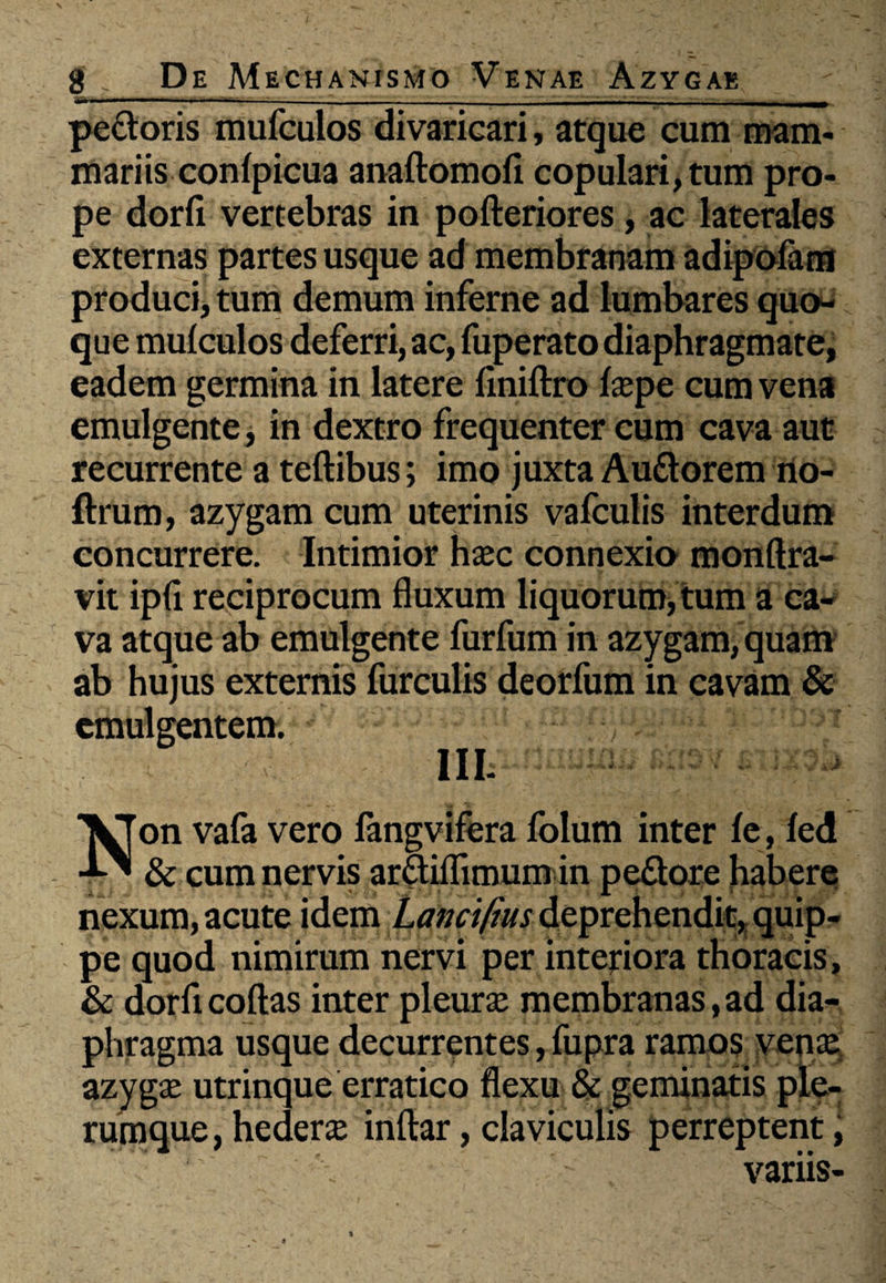 pedoris mufculos divaricari, atque cum mam¬ mariis confpicua anaftomofi copulari, tum pro¬ pe dorfi vertebras in pofteriores, ac laterales externas partes usque ad membranam adipofara produci, tum demum inferne ad lumbares quem¬ que mufculos deferri, ac, fuperato diaphragmate, eadem germina in latere finiftro ixpe cum vena emulgente, in dextro frequenter cum cava aut recurrente a teftibus; imo juxta Audorem rto- ftrum, azygam cum uterinis vafculis interdum concurrere. Intimior haec connexio monftra- vit ipfi reciprocum fluxum liquorum, tum a ca¬ va atque ab emulgente furfum in azygam, quam ab hujus externis furculis deorfum in cavam & emulgentem. III. Non vafa vero fangvifera folum inter le, led & cum nervis ardiflimumin pedore habere nexum, acute idem Lanciftus deprehendit, quip¬ pe quod nimirum nervi per interiora thoracis, & dorfi coftas inter pleurae membranas, ad dia¬ phragma usque decurrentes, fupra ramos vena: azygae utrinque erratico flexu & geminatis ple¬ rumque , hederae inftar, claviculis perreptent, ' variis-