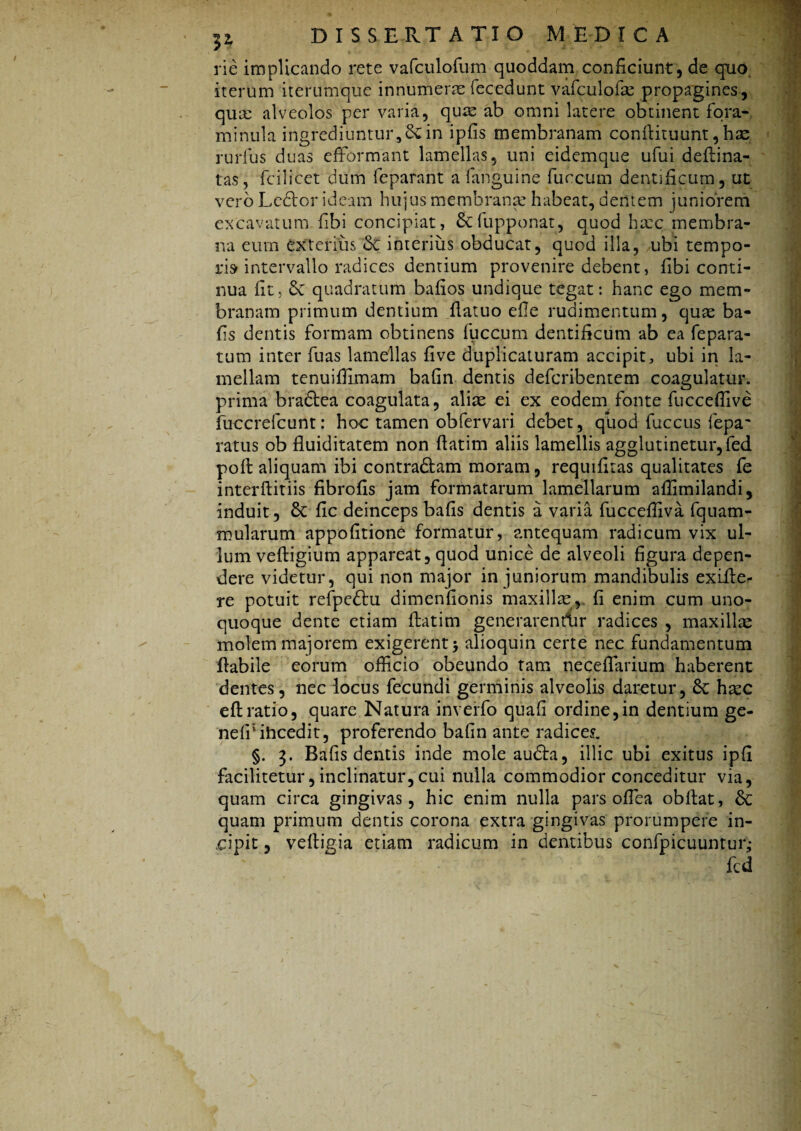 rie implicando rete vafculofum quoddam conficiunt, de quo iterum iterumque innumeras fec-edunt vafculofte propagines, qua: alveolos per varia, quae ab omni latere obtinent fora- minula ingrediuntur,'&in ipfis membranam conftituunt, has rurius duas efFormant lamellas, uni eidemque ufui deftina- tas, fcilicet dum feparant a fanguine fuccum dentificum, ut vero Lcdlor ideam hujus membrana: habeat, dentem juniorem excavatum fibi concipiat, &fupponat, quod hxc membra¬ na eum exterius <$c interius obducat, quod illa, ubi tempo¬ ri» intervallo radices dentium provenire debent, fibi conti¬ nua iit, 6c quadratum bafios undique tegat: hanc ego mem¬ branam primum dentium flatuo eile rudimentum, quas ba- fis dentis formam obtinens luccum dentificum ab ea fepara- tum inter fuas lamellas five duplicaturam accipit, ubi in la¬ mellam tenuiffimam bafin dentis defcribentem coagulatur, prima braftea coagulata, alias ci ex eodem fonte fucceffive fuccrefcunt: hoc tamen obfervari debet, quod fuccus fepa~ ratus ob fluiditatem non ftatim aliis lamellis agglutinetur, fed poft aliquam ibi contra&am moram, requifitas qualitates fe interftitiis fibroUs jam formatarum lamellarum aflimilandi, induit, Sc fic deincepsbafis dentis a varia fucceffiva fquam- mularum appofitione formatur, antequam radicum vix ul¬ lum veftigium appareat, quod unice de alveoli figura depen¬ dere videtur, qui non major in juniorum mandibulis exifte^ re potuit refpe&u dimenfionis maxillas,, fi enim cum uno¬ quoque dente etiam ftatim generarentur radices , maxilla: molem majorem exigerent 5 alioquin certe nec fundamentum flabile eorum officio obeundo tam neceffarium haberent dentes, nec locus fecundi germinis alveolis daretur, hasc eft ratio, quare Natura inverfo qnaii ordine,in dentium ge- neiftihcedit, proferendo bafin ante radice?. §. 3. Bafis dentis inde mole audta, illic ubi exitus ipfl facilitetur, inclinatur,cui nulla commodior conceditur via, quam circa gingivas, hic enim nulla pars offiea obftat, &c quam primum dentis corona extra gingivas prorumpere in- eipit, veftigia etiam radicum in dentibus confpicuuntur,- fcd