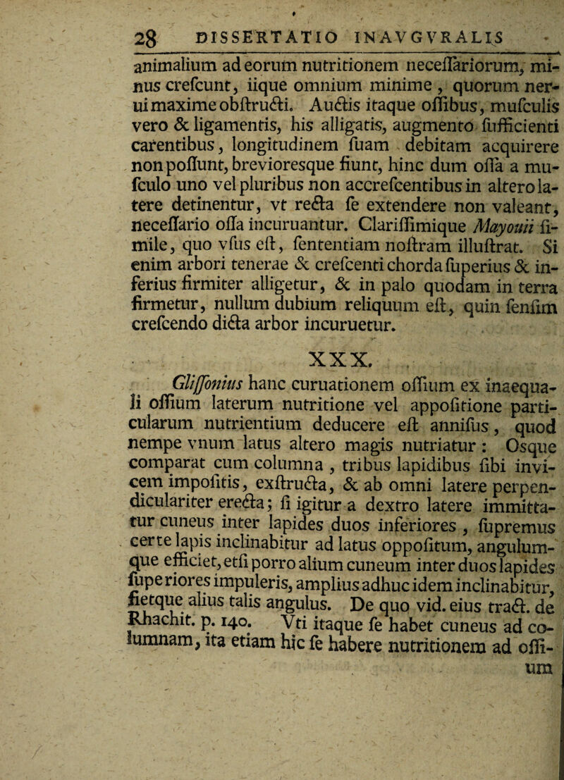 animalium ad eorum nutritionem neceffariorum, mi¬ nus crefcunt, iique omnium minime , quorum ner- ui maxime obftru&i. Auditis itaque o ilibus, mufculis vero & ligamentis, his alligatis, augmento fufficienti carentibus, longitudinem fuam debitam acquirere non poffunt, brevioresque fiunt, hinc dum offa a mu- fculo uno vel pluribus non accrefcentibus in altero la¬ tere detinentur, vt re&a fe extendere non valeant, neceffario offa incuruantur. Clariffimique Mayouii fi- mile, quo vfus eft, fententiam noftram illuftrat. Si enim arbori tenerae & crefcenti chorda fuperius & in¬ ferius firmiter alligetur, & in palo quodam in terra firmetur, nullum dubium reliquum eft, quin fenfim crefcendo difta arbor incuruetur. XXX. . GUjJomus hanc curuationem oflium ex inaequa¬ li oflium laterum nutritione vel appofitione parti¬ cularum nutrientium deducere eft annifus, quod nempe vnum latus altero magis nutriatur : Osque comparat cum columna , tribus lapidibus fibi invi¬ cem impolitis, exftrudta, & ab omni latere perpen- diculariter erefta; fi igitur a dextro latere immitta¬ tur cuneus inter lapides duos inferiores , iupremus certe lapis inclinabitur ad latus oppofitum, angulum¬ que efficiet, etfi porro alium cuneum inter duos lapides lupe riores impuleris, amplius adhuc idem inclinabitur, fietque alius talis angulus. De quo vid. eius tradi, de Bnachit. p. 140. Vti itaque fe habet cuneus ad co- j lumnam, ita etiam hic fe habere nutritionem ad offi- .' : - . urn