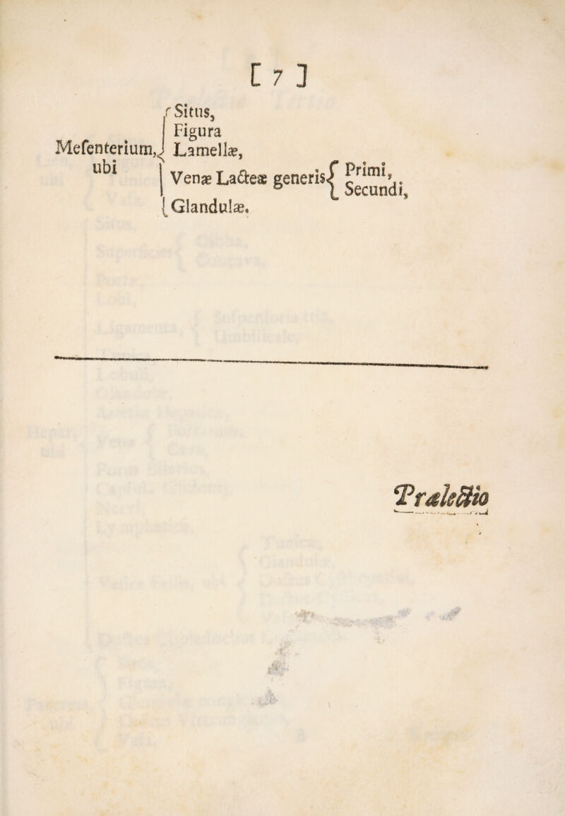 Mefenterium, ubi r Situs, Figura Lamella», Venae La&ese generis. (Glandula. Primi, Secundi, Trakffio
