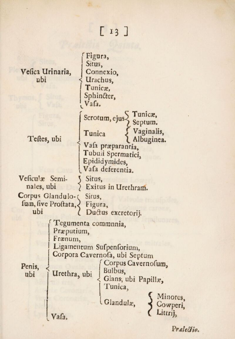 [ *3 ] Vefica Urinaria, ubi Teftes, ubi Scrotum, ejus5 Tunica rFigura, Situs, Connexio, < Urachus, ^ Tunicae, Sphintter, w Vafa. Tunicae, Septum. f Vaginalis, y \ Albuginea. Vala praeparantia, Tubuii Spermatici, Epididymides, ^Vafa deferentia. Vefiodae Semi- 3 Situs, nales, ubi } Exitus in Urethram. Corpus Glandulo-f Situs, iuin.five Proftata,} Figura, ubi l DuSus excretorij. r Tegumenta commnnia, Praeputium, Fraenum, Ligamentum Sufpenforium, Corpora Cavernofa, ubi Septum r Corpus Cavernofum, Urethra, ubi 5 ' Glans-, ubi Papilla, Penis, < ubi < Tunica i Glandulae, c Vafa. Minores, Cowperi, Littrij, VrjtUftio.