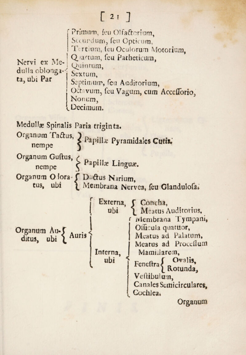 [ 2, ] Nervi ex Me- i dulla oblonga**: ta3 ubi Par Primum, {eu Olfaftorinm, Sccurdum, feu Opticum, Tcrtmm, (eu Oculorum Motorium, Q /artum, feu Patheticum, (Quintum, Sextum, Septimum, feu Auditorium, Odh-vum, feu Vagum, cum Acceffbrio^ Nonum, Decimurn. Papilla Pyramidales Cutis. Medul!# Spinalis Paria triginta* Organum Ta&us, nempe Organum Guftus, nempe Organum Olora* f Duftus Narium, tus, ubi \ Membrana Nervea, feu Glandulofa* ^ Papilla Lingua. i Organum Au-f . ] ditus, ubi \ Auris Externa ubi Inferna, ubi Concha, Meatus Auditorius, f Membrana I ympani, Oliicula quaruor. Meatus ad Palatunt, Meatus ad Procellunt Mamillarem, Feneftra ^ °v:,li8* { Rotunda, Vertibulum, Canales Semicirculares, Cochlea., Organum
