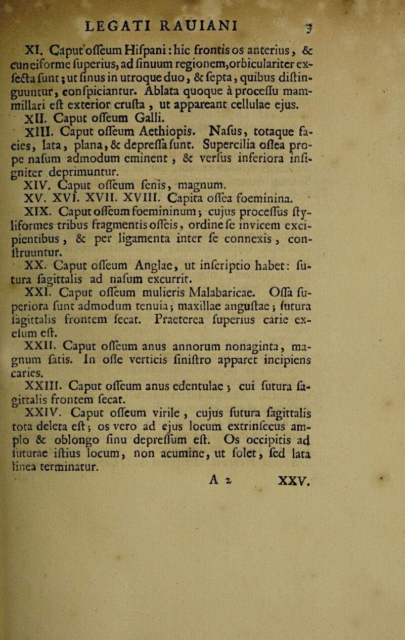 XI. Oput ofleum Hifpani: hic frontis os anterius, Sc cuneiforme fuperius, ad finuum regionem,orbiculariter ex- fedta funt 5 ut finus in utroque duo, & fepta, quibus diftin- guuntur, confpiciantur. Ablata quoque iiprocdlu mam¬ millari eft exterior crufta , ut appareant cellulae ejus. ' XII. Caput offeum Galli. ' XIII. Caput ofleum Aethiopis. Nafus, totaque fa¬ cies, lata, plana, & depreflafunt. Supercilia oflea pro¬ pe nafum admodum eminent, & verfus inferiora infi* gniter deprimuntur. XIV. Caput ofleum fenis, magnum. XV. XVI. XVII. XVIII. Capita offea foeminina. XIX. Caput ofleum foemininum 3 cujus proceffus fty~ liformes tribus fragmentis ofleis, ordinefe invicem exci¬ pientibus , & per ligamenta inter fe connexis, con- ftruuntur. XX. Caput offeum Anglae, ut inferiptio habet: fu¬ tura fagittalis ad nafum excurrit. XXI. Caput ofleum mulieris Malabaricae. Ofla fu- periora funt admodum tenuia 5 maxillae anguftae* lutura fagittalis frontem fecat. Praeterea fuperius carie ex- elum eft. XXII. Caput ofleum anus annorum nonaginta, ma¬ gnum fatis. In ofle verticis finiftro apparet incipiens caries. XXIII. Caput oileum anus edentulae j cui futura fa¬ gittalis frontem fecat. XXIV. Caput offeum virile , cujus futura fagittalis tota deleta eft 3 os vero ad ejus locum extrinfecus am¬ plo & oblongo finu depreflum eft. Os occipitis ad futurae iftius locum, non acumine, ut folet, fed lata linea terminatur. A ^ XXV.