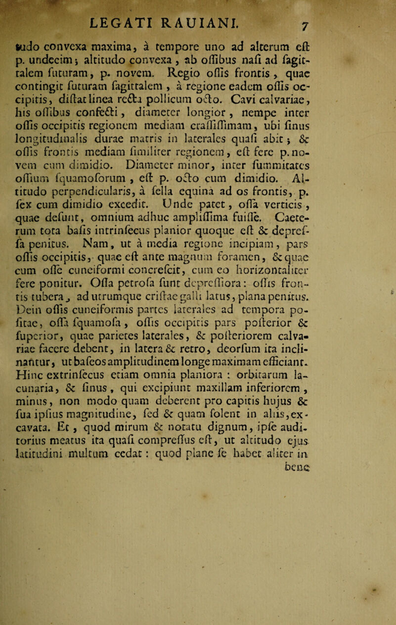 ludo convexa maxima , a tempore uno ad alterum ed p. undecim^ altitudo convexa , ab offibus nafi ad Sagit¬ talem futuram, p. novem. Regio ofliS frontis , quae contingit futuram Sagittalem , a regione eadem offis oc¬ cipiti s, diflaclinea refta pollicum octo. Cavi calvariae, his offibus confefti, diameter longior, nempe inter offis occipitis regionem mediam craffiflimam, ubi finus longitudinalis durae matris in laterales quafi abit * & offis frontis mediam Similiter regionem, ed fere p.no¬ vem cum dimidio. Diameter minor, inter Summitates odium fquamoforum , ed p. o£lo cum dimidio. Al¬ titudo perpendicularis, a fella equina ad os frontis, p* fex cum dimidio excedit. Unde patet, oda verticis , quae defunt, omnium adhuc ampliffima fu i de. Caete- rum tota balis intrinfecus planior quoque ed & depref- fa penitus. Nam, ut a inedia regione incipiam, pars offis occipitis, quae ed ante magnum foramen, & quae cum ode cuneiformi concredit, cum eo horizontalitcr fere ponitur. Oda petrofa funt deprediora: odis fron¬ tis tubera^ ad utrumque cridaegaili latus, plana penitus. Dein odis cuneiformis partes laterales ad tempora po¬ litae , oda fquamofa, offis occipitis pars poderior & fuperior, quae parietes laterales, &: poderiorem calva¬ riae facere debent, in latera&c retro, deorfum ira incli¬ nantur , ut bafeos amplitudinem longe maximam efficiant- Hinc extrinfecus etiam omnia planiora : orbitarum la¬ cunaria, & dnus , qui excipiunt maxillam inferiorem , minus, non modo quam deberent pro capitis hujus & fua ipfius magnitudine, fed fk quam folent in aliis,ex¬ cavata. Ec, quod mirum & notatu dignum, ipfe audi¬ torius meatus ita quali compredus ed, ut altitudo ejus latitudini multum cedat: quod plane fe habet aliter m bene