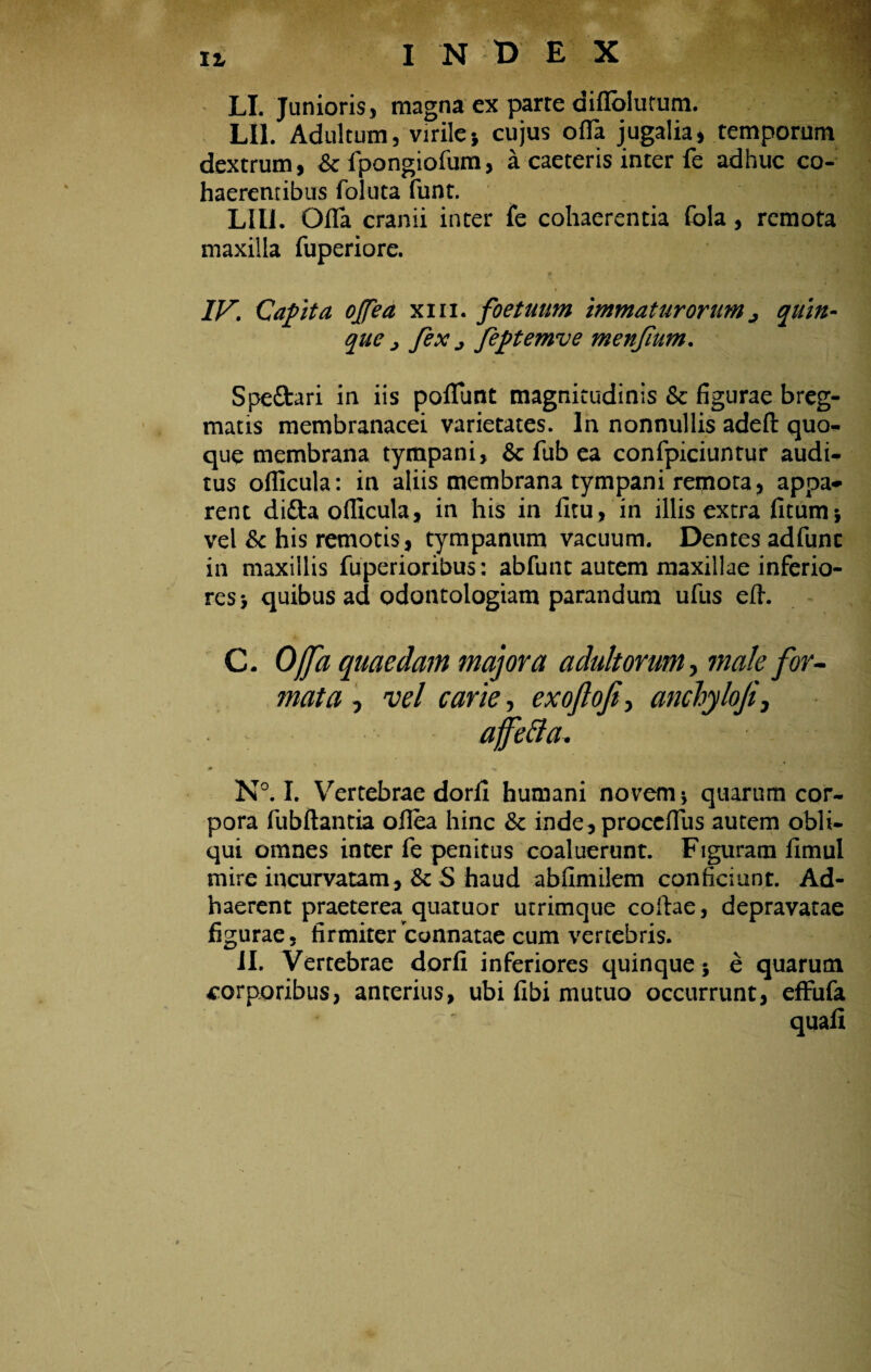 LI. Junioris, magna ex parte diffolutum. LI1. Adultum, virilej cujus ofla jugalia, temporum dextrum, & fpongiofum, a caeteris inter fe adhuc co¬ haerentibus foluta funt. LIU. Ofla cranii inter fe cohaerentia fola, remota maxilla fuperiore. IVi Capta ojfea xm. foetuum immaturorum j quin- que > fex j feptemve menfum. Speftari in iis poliunt magnitudinis & figurae breg¬ matis membranacei varietates. In nonnullis adefi: quo¬ que membrana tympani, Sc fub ea confpiciuntur audi¬ tus ofiicula: in aliis membrana tympani remota, appa¬ rent difta ofiicula, in his in litu , in illis extra fitum; vel & his remotis, tympanum vacuum. Dentes adfunc in maxillis fuperioribus: abfunt autem maxillae inferio¬ res > quibus ad odontologiam parandum ufus eft. C. Offa quaedam majora adultorum, male for- mata , vel carie, exoftofi> anchyloji, affefta. N°. I. Vertebrae dorli humani novem ; quarum cor¬ pora fubftantia ollea hinc & inde,proccfius autem obli¬ qui omnes inter fe penitus coaluerunt. Figuram limul mire incurvatam, & S haud abfimilem conficiunt. Ad- haerent praeterea. quaruor utrimque collae, depravatae figurae. firmiter connatae cum vertebris. ii. Vertebrae dorli inferiores quinque; e quarum corporibus, anterius, ubi fibi mutuo occurrunt, effiifa quali