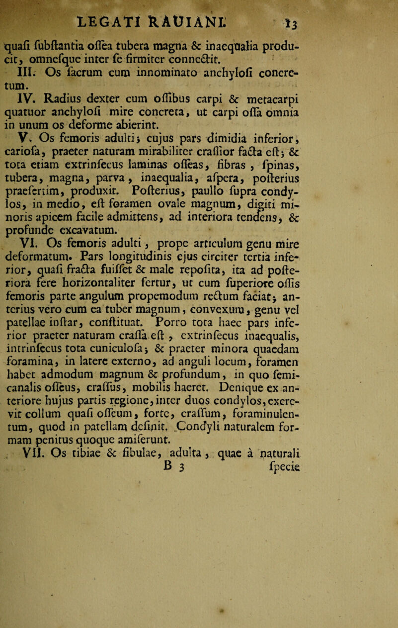 quafi fubftantia oflea tubera magna & inaequalia produ¬ cit, omnefque inter fe firmiter conne&it. III. Os facrum cum innominato anchylofi concre¬ tum. IV. Radius dexter cum offibus carpi & metacarpi quatuor anchylofi mire concreta, ut carpi olla omnia in unum os deforme abierint. V. Os femoris adulti} cujus pars dimidia inferior, cariofa, praeter naturam mirabiliter crafiior fa&a eftj & tota etiam extrinfecus laminas ofieas, fibras , fpinas, tubera, magna, parva, inaequalia, afpera, pofierius praefertim, produxit. Poftenus, paullo fupra condy¬ los, in medio, eft foramen ovale magnum, digiti mi¬ noris apicem facile admittens, ad interiora tendens, & profunde excavatum. VI. Os femoris adulti, prope articulum genu mire deformatum. Pars longitudinis ejus circiter tertia infe¬ rior, quafi frafta fuillet & male repofita, ita ad pofte- riora fere horizonraliter fertur, ut cum fuperiote ollis femoris parte angulum propemodum reftum faciat} an¬ terius vero cum ea tuber magnum, convexum, genu vel patellae inftar, conflituat. Porro tota haec pars infe¬ rior praeter naturam cralla efl:, extrinfecus inaequalis, intrinfecus tota cuniculofa} & praeter minora quaedam foramina, in latere externo, ad anguli locum, foramen habet admodum magnum & profundum, in quo femi- canalis ollcus, craffus, mobilis haeret. Denique ex an¬ teriore hujus partis regione, inter duos condylos,excre¬ vit collum quafi olTeurn, forte, cralfum, foraminulen- tum, quod in patellam definit. .Condyli naturalem for¬ mam penitus quoque amiferunt. VII. Os tibiae & fibulae, adulta, quae a flaturali B 3 fpecie