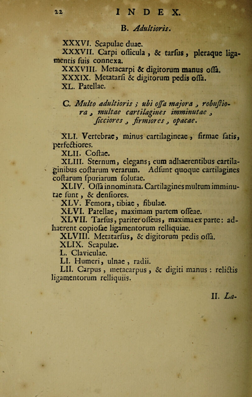 B. Adultioris. XXXVT. Scapulae duae. XXXVII. Carpi ofllcula , & tarfus, pleraque liga¬ mentis fuis connexa. XXXVIII. Metacarpi & digitorum manus ofla. XXXIX. Metatarli & digitorum pedis ofla. XL. Patellae. . C. Multo adultioris ; ubi ojfa majora j robufiio- ra j multae cartilagines imminutae 0 ficciores ^ firmiores j ojacae. XLI. Vertebrae, minus cartilagineae, firmae fatis, pcrfeftiores. XLII. Codae. XLIII. Sternum, elegans j cum adhaerentibus cartiia- ' ginibus codarum verarum. Adfunt quoque cartilagines codarum fpuriarum lolutae. XLI V. Ofla innominata. Cartilagines multum imminu¬ tae funt, & dcnfiores. XLV. Femora, tibiae , fibulae. XLVI. Patellae, maximam partem ofleae. XLVII. Tarfus, pariter odeus, maxima ex parte: ad¬ haerent copiolae ligamentorum relliquiae. XLVII1. Metatarfus, &c digitorum pedis ofla. XLIX. Scapulae. L. Claviculae. LI. Humeri, ulnae, radii. LII. Carpus , metacarpus , <Sc digiti manus : relidis ligamentorum relliquiis.