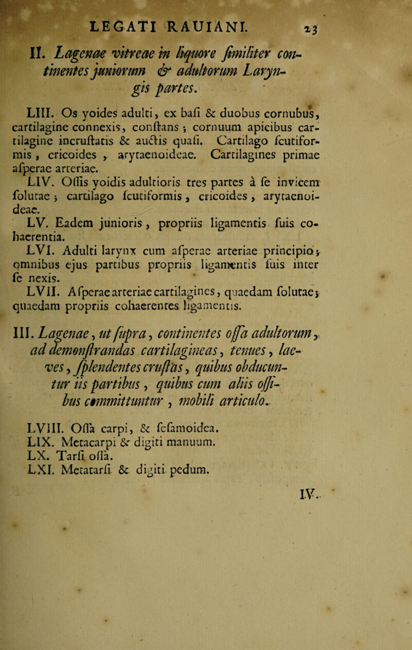 »3 II. Lagenae vitreae in liquore fimilitev con¬ tinentes juniorum & adultorum Laryn¬ gis partes. LIII. Os yoides adulti, ex bafi Sc duobus cornubus, cartilagine connexis, conftans *, cornuum apicibus car¬ tilagine incruftatis &c audis quafi. Cartilago fcutifor- mis , cricoides , aryraenoideae. Cartilagines primae afperae arteriae. LIV. Odis yoidis adultioris tres partes a fe invicem folutae j cartilago fcuciformis , cricoides , arytaenoi- deac. LV. Eadem junioris, propriis ligamentis luis co¬ haerentia. LVI. Adulti larynx cum afperae arteriae principio 5 omnibus ejus partibus propriis ligamentis fuis inter fe nexis. LV1I. Afperae arteriae cartilagines, quaedam folutae quaedam propriis cohaerentes ligamentis. ad demonftrandas cartilagineas, tenues, lae¬ ves , fplendentes cruftus, quibus obducun¬ tur iis partibus, quibus cum aliis of]i- bus cmmittuntur , mobili articulo.. > LVIII. Ofla carpi, & fefamoidea. LIX. Metacarpi Sc digiti manuum. LX. Tarfi ofla. LXI. Metatarfi. & digiti pedum. W'