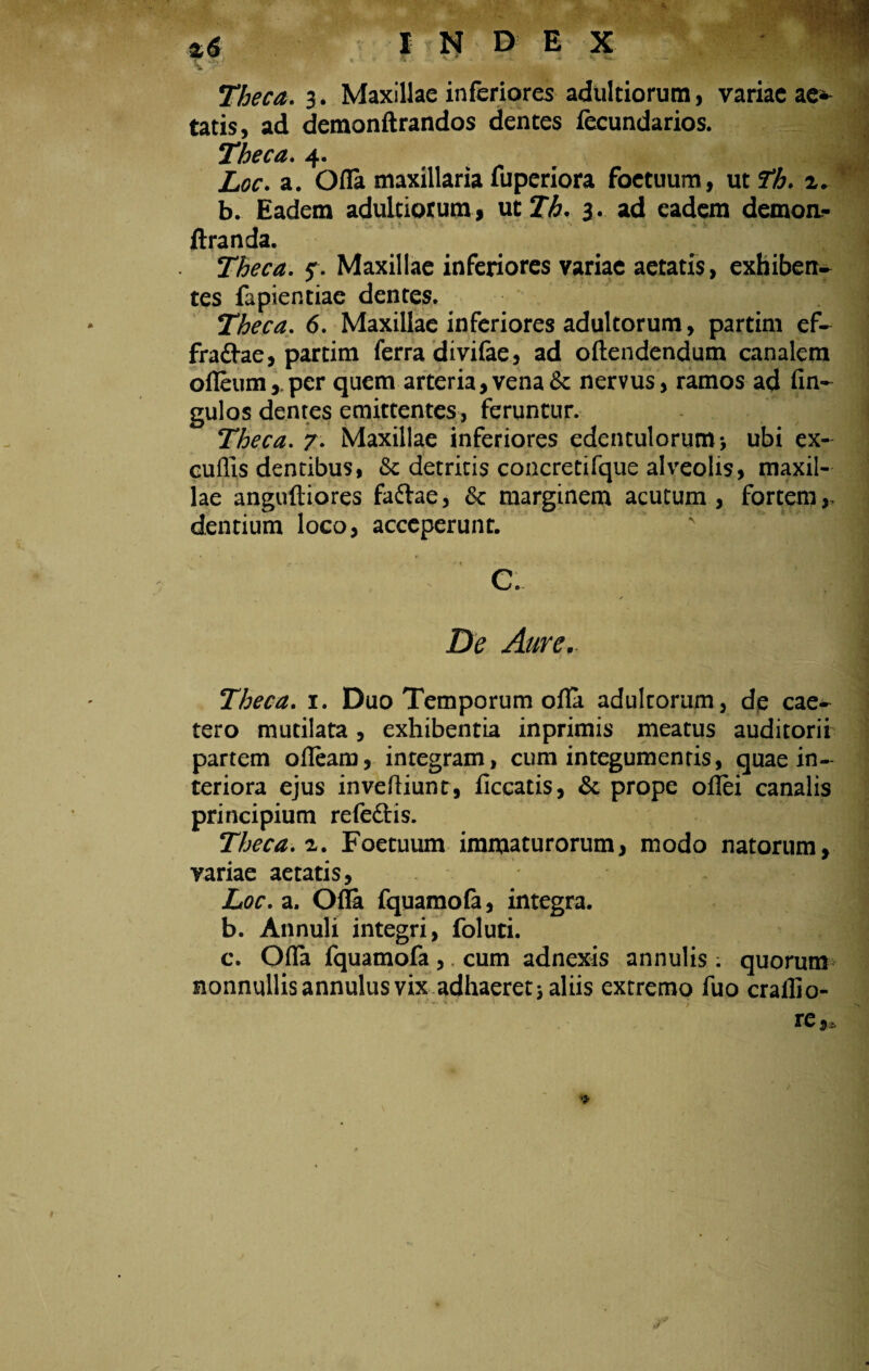 Theca. 3. Maxillae inferiores adultiorum, variae ae¬ tatis, ad demonftrandos dentes fecundarios. Theca. 4. Loc. a. Ofla maxillaria fuperiora foetuum, ut fh. a. b. Eadem adultiorum * ut Th. 3. ad eadem demon.- ftranda. Theca, f. Maxillae inferiores variae aetatis, exhiben¬ tes fapientiae dentes. Theca. 6. Maxillae inferiores adultorum, partim ef- fradae, partim ferra divilae, ad oftendendum canalem ofleum, per quem arteria, vena & nervus, ramos ad An¬ gulos dentes emittentes, feruntur. ” 1 Theca. 7. Maxillae inferiores edentulorum ; ubi ex¬ cudis dentibus, & detritis concretifque alveolis, maxil¬ lae anguftiores fadae, & marginem acutum, fortem,, dentium loco, acceperunt. C. De Aure.. I Theca. i. Duo Temporum ofla adultorum, dp cae- tero mutilata, exhibentia inprimis meatus auditorii partem ofleam, integram, cum integumentis, quae in¬ teriora ejus inveftiunt, ficcatis, & prope oflei canalis principium refe&is. Theca, i. Foetuum immaturorum, modo natorum, variae aetatis, Loc. a. Ofla fquamofe, integra. j b. Annuli integri, foluti. c. Ofla fquamofa ,. cum adnexis annulis: quorum nonnullis annulus vix adhaeret * aliis extremo fuo crallio-