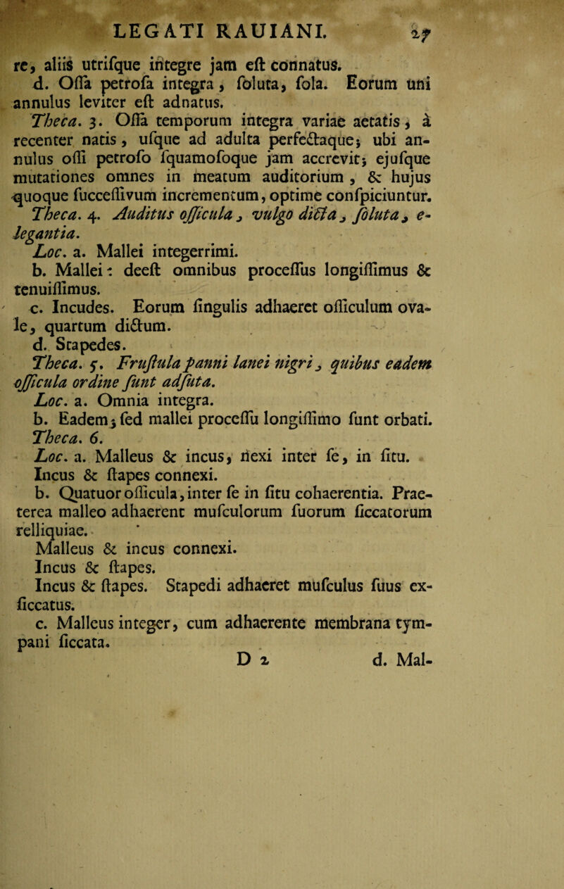 re, aliis utrifque integre jam eft connatus. d. Ofla petrofa integra, foluta, fola. Eorum uni annulus leviter eft adnacus. Tloeca. 3. Ofla temporum integra variae aetatis, i recenter natis, ufque ad adulta perfe&aque-, ubi an¬ nulus ofli petrofo fquamofoque jam accrevit} ejufque mutationes omnes in meatum auditorium , & hujus quoque fucceflivum incrementum,optime confpiciuntur. Theca. 4. Auditus ojjicula , vulgo diUd j foluta t e- legantia. Loc. a. Mallei integerrimi. b. Mallei t deeft omnibus proceflus longiflimus & tenuiflimus. c. Incudes. Eorum Angulis adhaeret ofliculum ova¬ le, quartum diftum. d. Stapedes. * Theca. 5, Frujlula panni lanei nigri > quibus eadem ojjicula ordine funt adfuta. Loc. a. Omnia integra. b. Eadem} fed mallei proceflu longiflimo funt orbati. Theca. 6. Loc. a. Malleus & incus, hexi inter fe, in fitu. Incus & ftapes connexi. b. Quatuor oflicula, inter fe in fitu cohaerentia. Prae¬ terea malleo adhaerent mufculorum fuorum ficcatorum relliquiae. • Malleus & incus connexi. Incus & ftapes. Incus & ftapes. Stapedi adhaeret mufculus fuus ex- ficcatus. c. Malleus integer, cum adhaerente membrana tym¬ pani ficcata. D i d. Mal-