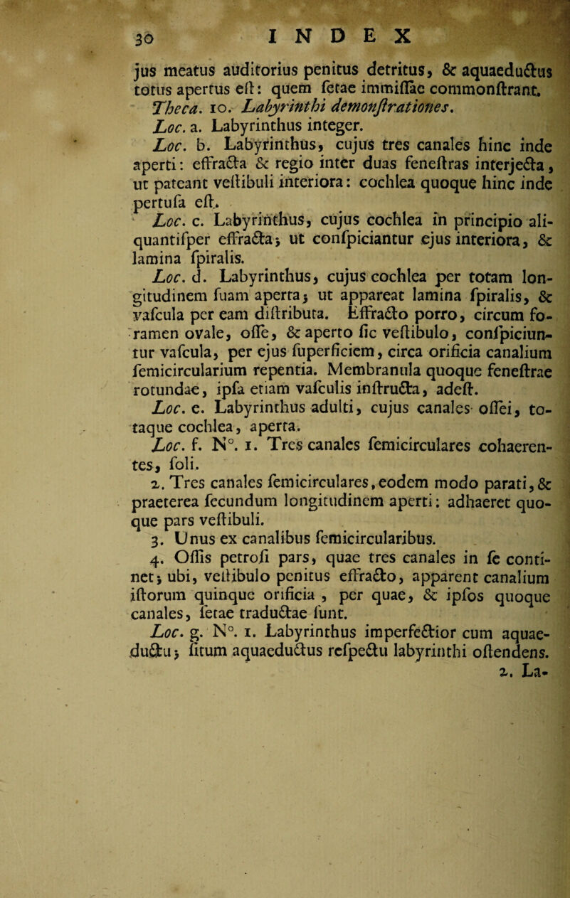 jus meatus auditorius penitus detritus, & aquaedu&us totus apertus eft: quem fetae immiflae commonftrant. Theca, io. Labyrinthi demonjlrat'tones. Loc. a. Labyrinthus integer. Loc. b. Labyrinthus, cujus tres canales hinc inde aperti: effrafta Sc regio inter duas feneftras interje&a, ut pateant vertibuli interiora: cochlea quoque hinc inde pertufa eft. Loc. c. Labyrinthus, cujus cochlea in principio ali- quantifper efFra&aj ut confpiciantur ejus interiora, & lamina fpiralis. Loc. d. Labyrinthus, cujus cochlea per totam lon¬ gitudinem fuam aperta> ut appareat lamina fpiralis, & vafcula per eam diftributa. EffraCto porro, circum fo¬ ramen ovale, orte, & aperto lic vertibulo, conipiciun- tur vafcula, per ejus fuperficiem, circa orificia canalium femicircularium repentia. Membranula quoque feneftrae rotundae, ipfa etiam vafculis inftru&a, adeft. Loc.c. Labyrinthus adulti, cujus canales oflei, to¬ taque cochlea, aperta. Loc. f. N°. i. Tres canales femicirculares cohaeren¬ tes, foli. z. Tres canales femicirculares.eodem modo parati,& praeterea fecundum longitudinem aperti; adhaeret quo¬ que pars vertibuli. 3. Unus ex canalibus femicircularibus. 4. Offis petrofi pars, quae tres canales in fe conti¬ net 3 ubi, vertibulo penitus effra&o, apparent canalium iftorum quinque orificia , per quae, & ipfos quoque canales, fetae tradu&ae funt. Loc. g. N°. 1. Labyrinthus imperfe&ior cum aquae¬ ductu 3 fitum aquaedudus refpeCtu labyrinthi oftendens. z, La-
