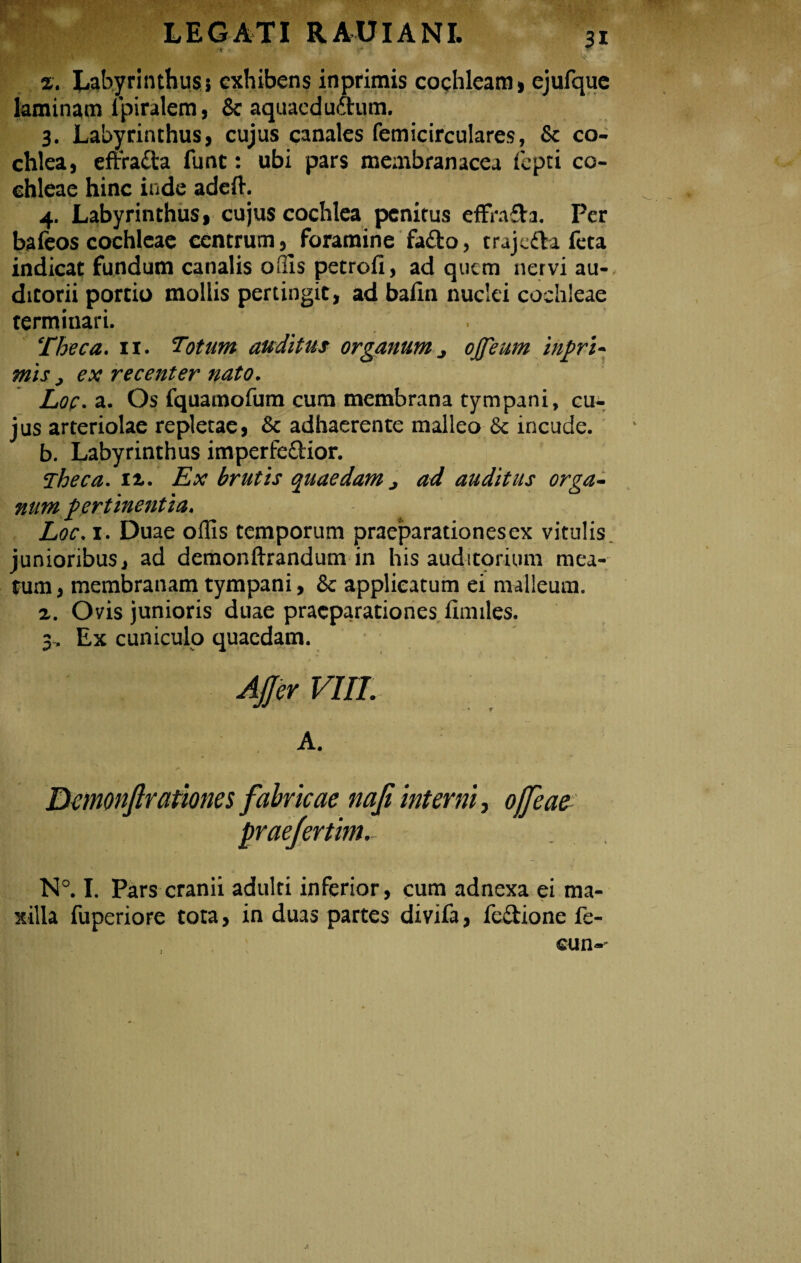 2. Labyrinthus i exhibens in primis cochleam» ejufque laminam lpiralem, 8c aquaeductum. 3. Labyrinthus, cujus canales femicirculares, & co¬ chlea, effra&a funt: ubi pars membranacea fepti co¬ chleae hinc inde adeft. 4. Labyrinthus, cujus cochlea penitus effrafta. Per bafeos cochleae centrum, foramine fa£to, trajeda feta indicat fundum canalis odis petrofi, ad quem nervi au¬ ditorii portio mollis pertingit, ad balin nuclei cochleae termiuari. . Theca. 11. Totum auditus organum j ojfeum inpri- mis, ex recenter nato. Loc. a. Os fquamofum cum membrana tympani, cu¬ jus arteriolae repletae, Sc adhaerente malleo &c incude. b. Labyrinthus imperfcCtior. Theca, n. Ex brutis quaedam > ad auditus orga¬ num pertinentia. Loc, 1. Duae offis temporum praeparationesex vitulis junioribus, ad demonftrandum in his auditorium mea¬ tum , membranam tympani, & applicatum ei malleum. 2. Ovis junioris duae praeparationes ilmiles. 3, Ex cuniculo quaedam. Affer VIII. A. Bmonftrationes fabricae nafi interni, offeae praejertim. N°. I. Pars cranii adulti inferior, cum adnexa ei ma¬ xilla fuperiore tota, in duas partes divifa, lectione fe- eun--