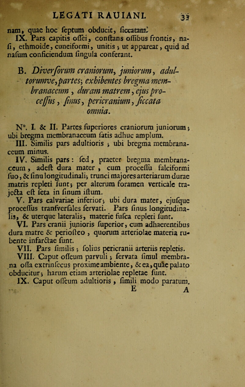 nam* quae hoc feptum obducit, ficeatami IX. Pars capitis oflei, conftans offibus frontis, na- fi, ethmoide, cuneiformi, unitis ; ut appareat, quid ad nafum conficiendum lingula conferant. B. Diverjorum craniorum, juniorum, adul- torumve, partes-, exhibentes bregma mem¬ branaceum , duram matrem, ejus pro- ceffus, finus, pericranium, Jiccata omnia. N°. I. & II. Partes fuperiores craniorum juniorum; ubi bregma membranaceum fatis adhuc amplum. III. Similis pars adultioris ; ubi bregma membrana¬ ceum minus. *' IV. Similis pars: fed, praeter bregma membrana¬ ceum , adeft dura mater , cum proceflii falciformi fuo, & finu longitudinali; trunci majores arteriarum durae matris repleti funt; per alterum foramen verticale tra- jefta eft feta in linum iftum. V. Pars calvariae inferior; ubi dura mater, ejulque proceflus tranfverfales fervati. Pars finus longitudina¬ lis, & uterque lateralis, materie fufca repleti funt. VI. Pars cranii junioris fuperior, cum adhaerentibus dura matre & periodeo , quorum arteriolae materia ru¬ bente infarctae funt. VII. Pars fimilis; folius pericranii arteriis repletis. VIII. Caput odeum parvuli; fervata fimul membra¬ na offa extrinfecus proxime ambiente, & ea, quae palato obducitur; harum etiam arteriolae repletae funt. IX. Caput odeum adultioris , fimili modo paratum. e a > ’«