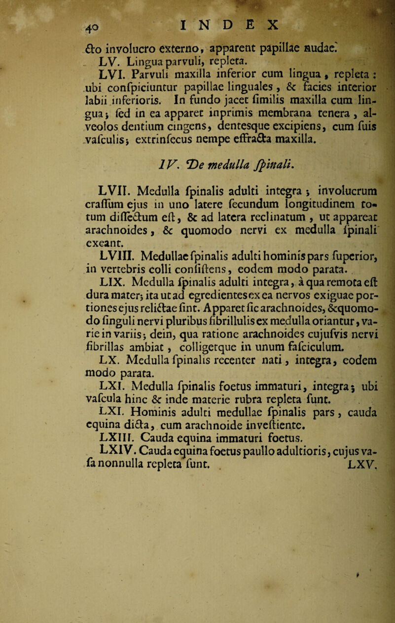 do involucro externo, apparent papillae nudae.' LV. Lingua parvuli, repleta. LVI. Parvuli maxilla inferior cum lingua , repleta: ubi confpiciuntur papillae linguales, & facies interior labii inferioris. In fundo jacet fimilis maxilla cum lin¬ gua j fed in ea apparet inprimis membrana tenera , al¬ veolos dentium cingens, dentesque excipiens, cum fuis vafculis} extrinfecus nempe effra&a maxilla. C-- ’ . • -f\ •: 'M * f —_’ | IV\ *De medulla fpinali. LVII. Medulla fpinalis adulti integra •, involucrum crafFum ejus in uno latere fecundum longitudinem to* tum difledum eft, & ad latera reclinatum , uc appareat arachnoides, & quomodo nervi ex medulla fpinali exeant. LV1II. Medullae fpinalis adulti hominis pars fupcrior, in vertebris colli confiftens, eodem modo parata. LIX. Medulla fpinalis adulti integra, a qua remota eft dura mater* ita ut ad egredientesexea nervos exiguae por¬ tiones ejus relidae fint. Apparet fic arachnoides, Sequomo- do finguli nervi pluribus nbrillulis ex medulla oriantur, va¬ rie in variis * dein, qua ratione arachnoides cujufvis nervi fibrillas ambiat, colligerque in unum fafciculum. LX. Medulla fpinalis recenter nati, integra, eodem modo parata. LXI. Medulla fpinalis foetus immaturi, integra5 ubi vafcula hinc & inde materie rubra repleta funt. LXI. Hominis adulti medullae fpinalis pars, cauda equina dida, cum arachnoide inveftiente. LXIII. Cauda equina immaturi foetus. LXIV. Cauda equina foetus paullo adultioris, cujus va- fa nonnulla repleta funt. LXV. <