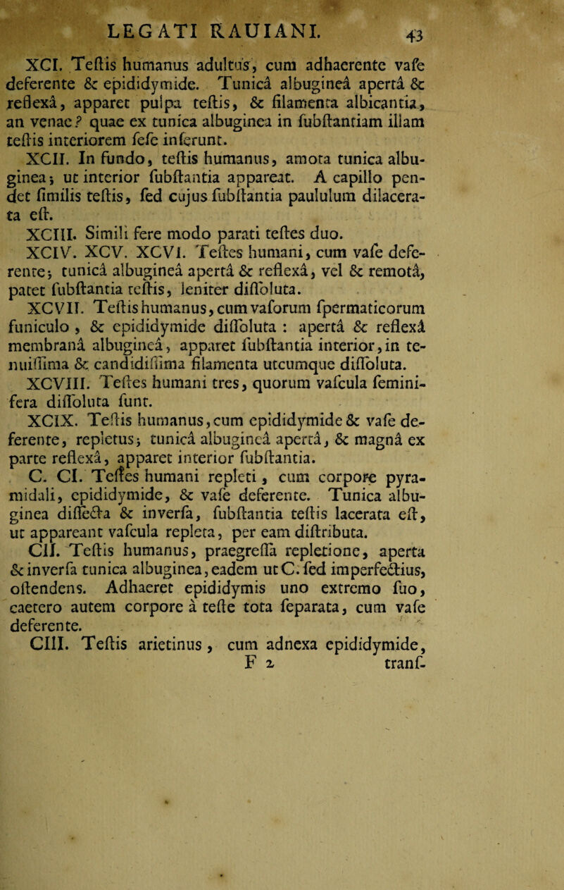 XCI. Tertis humanus adultus, cum adhaerente vafe deferente & epididymide. Tunidf albuginei aperta & reflexi, apparet pulpa teftis, & filamenta albicantia, an venae? quae ex tunica albuginea in fubftantiam illam tertis interiorem fefe inferunt. XCII. In fundo, teftis humanus, amota tunica albu¬ ginea*, ut interior fubftaatia appareat. A capillo pen¬ det fimilis teftis, fed cujus fubftantia paululum dilacera¬ ta eft. XCIII. Simili fere modo parati teftes duo. XCIYb XCV. XCVi. Teftes humani, cum vafe defe¬ rente*, tunici albuginea aperta & reflexa, vel & remota, patet fubftantia reftis, leniter diflbluta. XCVIT. Teftis humanus, cum vaforum fpermaticorum funiculo , fk epididymide diflbluta : aperta Sc reflexi membrana albuginea, apparet fubftantia interior,in te- miiflima & candidiilirna filamenta utcumque diflbluta. XCVUI. Teftes humani tres, quorum vafcula femini- fera diflbluta funt. XCIX. Teftis humanus, cum epididymide & vafe de¬ ferente, repletus * tunica albuginea aperta, & magni ex parte reflexa, apparet interior fubftantia. C. CI. Teftes humani repleti, cum corpore pyra¬ midali, epididymide, Sc vafe deferente. Tunica albu¬ ginea diffeCta & inverfa, fubftantia teftis lacerata eft, ut appareant vafcula repleta, per eam diftributa. CII. Teftis humanus, praegrefla repletione, aperta & inverfa tunica albuginea, eadem ut C. fed imperfectius, offendens. Adhaeret epididymis uno extremo fuo, caetero autem corpore a tefte tota feparata, cum vafe deferente. CHI. Teftis arietinus, cum adnexa epididymide, F 2 tranf-