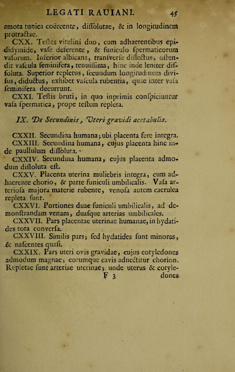 amota tunica coercente, diflblutae, 5c in longitudinem protradhe. CXX. Teiles vitulini duo, cum adhaerentibus epi¬ didymide, vafe deferente, fk Funicuio fpermaticorum vaforum. Inferior albicans, traniverfe diiteftus, often- dic vafeuia feminifera, cenuililma, hinc inde leniter dif- foluca. Superior repletus, fecuudum longitudinem divi- fus, didu&us, exhibet vafeuia rubentia, quae inter vafa feminifera decurrunt. CXXI. Teftis bruti, in quo inprimis conlpiciuntiir vafa fpermatica, prope teftem repleta, IX. Secundinis j 'Uteri gravidi acetabulis. CXXII. Secundina humana* ubi placenta fere integra. CXXIII. Secundina humana, cujus placenta hinc in* de paullulum diflbluta. * CXXIV. Secundina humana, cujus placenta admo. dum difloluta eft. CXXV. Placenta uterina muliebris integra, cum ad¬ haerente chorio, &■ parte funiculi umbilicalis. Vafa ar¬ ter tofa majora materie rubente, venofa autem caerulea repleta funt. CXXVI. Portiones duae funiculi umbilicalis, ad de- monflrandam venam, duafque arterias umbilicales. CXXVII. Pars placentae uterinae humanae, in hydati- des tota converfa. CXXVIII. Similis pars* fed hydatides funt minores, & nafcentes quafi. CXXIX. Pars uteri ovis gravidae, cujus cotyledones admodum magnae* eorumque cavis adnectitur chorion. Repletae funt arteriae uterinae 5 unde uterus & cotyle- F 3. dones