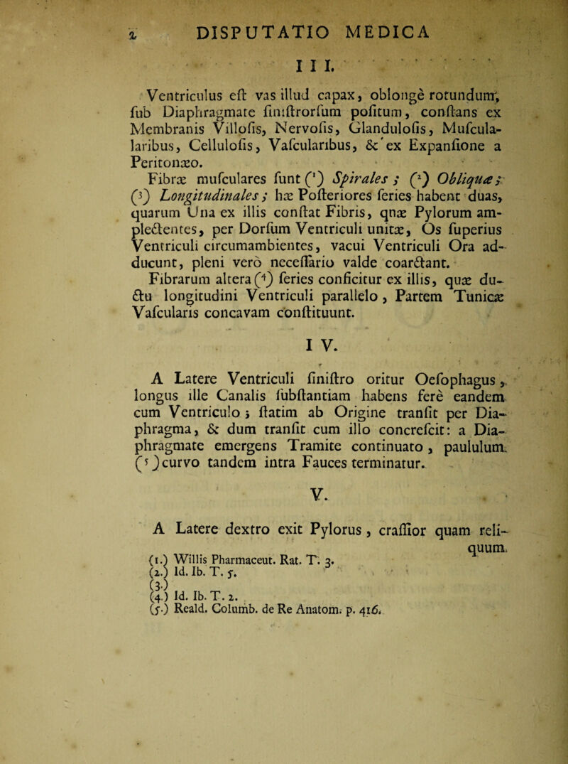 Ventriculus eft vas illud capax, oblonge rotundum; fub Diaphragmate finiftrorfum politum, conftans ex Membranis Villofis, Nervofis, Glandulofis, Mufcula- laribus, Cellulofis, Vafculanbus, Se'ex Expanlione a Peritonceo. * ■ ' Fibrx mufculares funt (*) Spirales ; Obliqua/ (V) Longitudinales; hx Pofteriores feries habent duas, quarum Una ex illis condat Fibris, qnx Pylorum am- ple&entes, per Dorfum Ventriculi unitse. Os fuperius Ventriculi circumambientes, vacui Ventriculi Ora ad¬ ducunt, pleni vero neceflario valde coar&ant. Fibrarum altera (T) feries conficitur ex illis, qua* du- £tu longitudini Ventriculi parallelo, Partem Tuniae Vafcularis concavam conftituunt. IV. * A Latere Ventriculi finiftro oritur Oefophagus,, longus ille Canalis lubfiantiam habens fere eandem cum Ventriculo 5 flatim ab Origine tranfit per Dia¬ phragma, & dum tranfit cum illo concrefcit: a Dia¬ phragmate emergens Tramite continuato, paululum, (sj curvo tandem intra Fauces terminatur. V. ‘ . * A Latere dextro exit Pylorus , cralfior quam reli¬ quum, (1.) Willis Pharmaceut. Rat. T. 2. (2.) Id. Ib. T. s* (30 (4.) IU. Ib. T. 2. isO Reald. Columb. de Re Anatoni; p. 416.