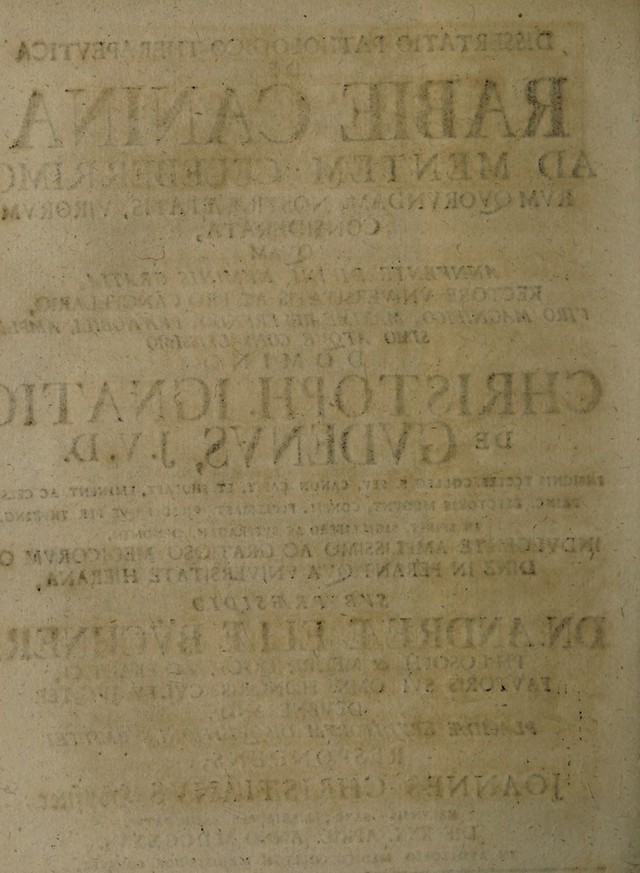 digitised image 2
