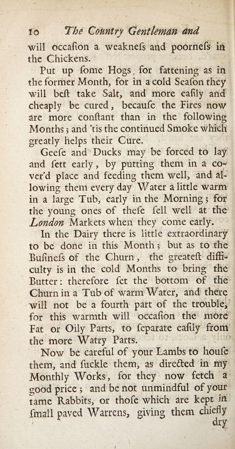 will occafion a weaknefs and poornefs in the Chickens. Put up fome Hogs, for fattening as in the former Month, for in a cold Seafonthey will belt take Salt, and more eafily and cheaply be cured, becaufe the Fires now are more conftant than in the following Months; and ’tis the continued Smoke which greatly helps their Cure. Geefe and Ducks may be forced to lay and fett early, by putting them in a co¬ ver’d place and feeding them well, and al¬ lowing them every day Water a little warm in a large Tub, early in the Morning; for the young ones of thefe fell well at the London Markets when they come early. In the Dairy there is little extraordinary to be done in this Month; but as to the Bufinefs of the Churn, the greateft diffi¬ culty is in the cold Months to bring the Butter: therefore fet the bottom of the Churn in a Tub of warm Water, and there will not be a fourth part of the trouble, for this warmth will occafion the more Fat or Oily Parts, to feparate eafily from the more Watry Parts. Now be careful of your Lambs to houfe them, and fuckle them, as directed in my Monthly Works, for they now fetch a good price ; and be not unmindful of your tame Rabbits, or thofe which are kept in fmall paved Warrens, giving them chiefly dry /