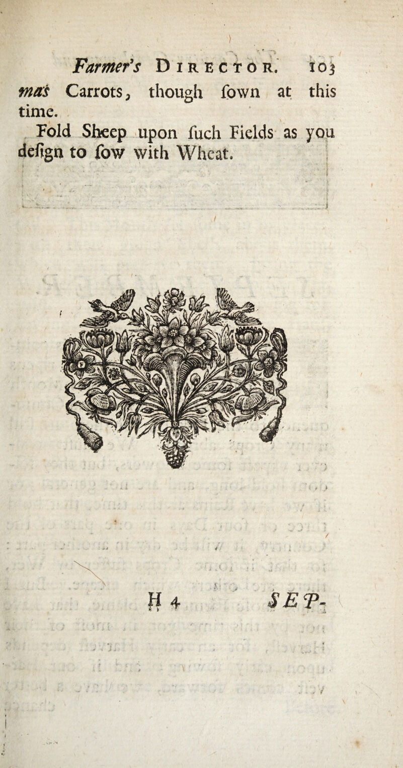 \ ) •s, f * Farmer's Director. ioj mas Carrots, though Town at this time. # \ Fold Sheep upon fuch Fields as you defign to fow with Wheat. / SET-. [ ' i ■ \
