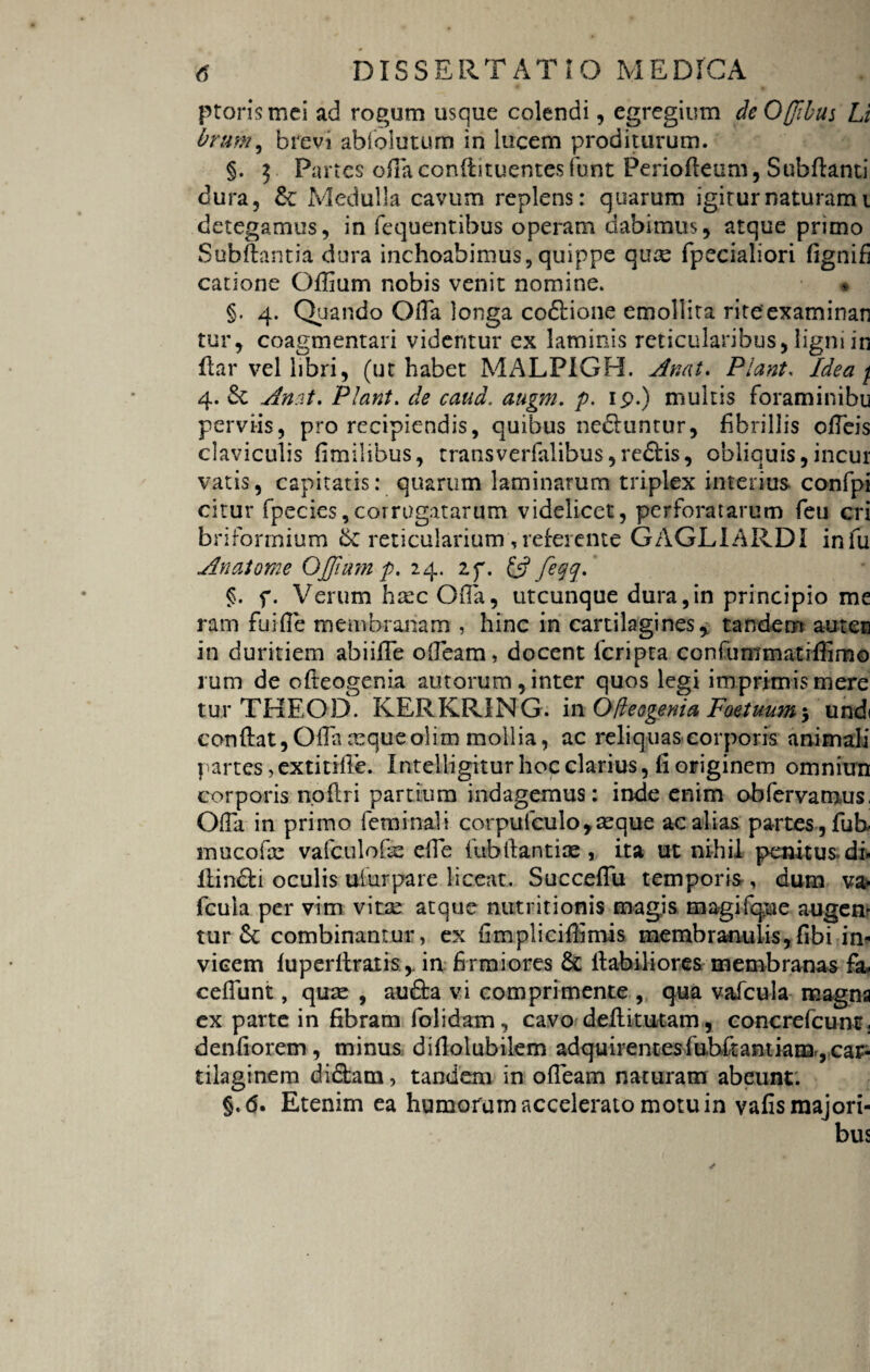 ptorismei ad rogum usque colendi, egregium deOflibus Li Oram, brevi abfolurum in lucem proditurum. §. 3 Partes ofTaconfiituentesfbnt Periofteum, Subflanti dura, & Medulla cavum replens: quarum igitur naturam i detegamus, in fequentibus operam dabimus, atque primo Subflantia dura inchoabimus, quippe fpecialiori fignifi catione Offium nobis venit nomine. • §. 4. Quando Ofla longa co&ione emollita rite’examinan tur, coagmentari videntur ex laminis reticularibus , ligni in fla r vel libri, (ut habet MALPIGH. An at. Piant. Idea f. 4. & Anat. Piant, de caud. augm. p. ip.) multis foraminibu perviis, pro recipiendis, quibus nedluntur, fibrillis offeis claviculis fimilibus, transverfalibus,re£Iis, obliquis,incur vatis, capitatis: quarum laminarum triplex interius confpi citur fpecies,corrogatarum videlicet, perforatarum feu eri bri formium reticularium, referente GAGLIARDI in fu Anatome OJJiump. 24. if. & feqq. §. f. Verum hxc Olla, utcunque dura,in principio me ram fuifle membranam , hinc in cartilagines* tandem auteti in duritiem abiifTe oOeam, docent feripta confummatrfSmo rum de ofteogenia aurorum, inter quos legi imprimis mere tur THEOD. KERKRING. in Ofleogenia Foetuum 5 undi conflat, Ofln xqueolim mollia, ac reliquas corporis animali partes, extitifTe. Intelligitur hoc clarius, fi originem omniun corporis noflri partium indagemus: inde enim obfervamus, Offa in primo feminali corpufculo,seque ac alias partes , fub mucofse vafculoGc ede fubilantise , ita ut nihil penitus di- llincti oculis ufurpare liceat. Succeflu temporis, dum va* fcula per vim vitae atque nutritionis magis magifque augem tur St combinantur, ex fimpliciflimis membranulis,fibi in? vicem fuperftratis* in firmiores & flabiliores membranas fa* cedunt, quas , au£la vi comprimente , qua vafcula magna ex parte in fibram folidam, cavo dedituram, concrefcunt. denfiorem, minus diflolubilem adquirentesfubftantiam, car¬ tilaginem didfcam, tandem in ofleam naturam abeunt. §.<5. Etenim ea humorum accelerato motu in vafis majori¬ bus