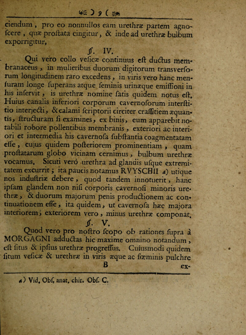 Ml -*•---  .. ... ... - ciendum , pro eo nonnullos eam urethrae partem agno- fcere , quae proflata cingitur > & inde ad urethrae bulbum exporrigitur* Jf. IV. Qui vero collo veficae continuus eft dutflus mem¬ branaceus , in mulieribus duorum digitorum transverfo- rum longitudinem raro excedens, in viris vero hanc men- furam longe fuperans atque fcmims urinaeque emiffiom in his infervit, is urethrae nomine fatis quidem notus eft. Huius canalis inferiori corporum cavernoforum intcrfti- tio interjedi, & calami fcriptorii circiter craflStiem sequan- tis^ ftruduram fi examines, ex binis, eum apparebit no¬ tabili robore pollentibus membranis , exteriori ac interi¬ ori et intermedia his cavernofa fubftantia coagmentatam efle , cujus quidem pofteriorem prominentiam , quam proflatarum globo vicinam cernimus, bulbum urethrae vocamus, Sicuti vero urethra ad glandis ufque extremi¬ tatem excurrit; ita paucis notamus RVYSCBII a) utique nos induftriae debere , quod tandem innotuerit > hanc ipfam glandem non nifi corporis cavernofi minoris ure¬ thrae , & duorum majorum penis prodwftionem ac con¬ tinuationem effe, ita quidem, ut cavernofa haec majora interiorem, exteriorem vero, minus urethrae componat Jf. V, Quod vero pro noflro fcopo ob rationes fupra a MORGAGNI addudras hic maxime omnino notandum , eft fitus & ipfius urethrae progreffus. Cuiusmodi quidem fitum veficae & urethra in viris aeque ac feminis pulchre , v Q’ B ex- #*) Vid, Obf, anat# ch/r* Obf, C