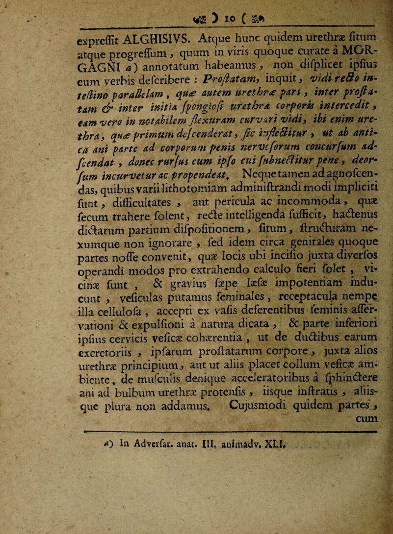 expreffit ALGHISIVS. Atque hune quidem urethra: fitunr atque progreffutn, quum in viris quoque curate a MGR- GAGNI a) annotatum habeamus, non difplicet ipfius eum verbis defcribere : Proflatam, inquit, vidi reBo in- teUino parallelam, qu<e autem urethr# pars, inter profla¬ tam & inter initia fpongtofi urethra corporis intercedit, eam vero in notabilem fixuram curvari vidi, ibi enim ure¬ thra, qu<e primum dejeenderat, fic infleBitur , ut ab anti¬ ca ani parte ad corporum penis nerve forum concurfum ad- fcendat, donec rurfus cum ipfo cui fubneftitur pene, deor- fum incurvetur ac propendeat. Neque tamen ad agnofeen- das, quibus varii lithotomiam adminiftrandi modi impliciti funt, difficultates , aut pericula ac incommoda , quae fecum trahere folent, rede intelligenda fufficit, hadenus didarum partium difpofitionem, litum, flruduram ne¬ xumque non ignorare , fed idem circa genitales quoque partes nofle convenit, quae locis ubi incifio juxta diverfos operandi modos pro extrahendo calculo fieri folet , vi¬ cina: funt , & gravius faepe laefae impotentiam indu¬ cunt , veficulas putamus feminales , receptacula nempe illa cellulofa , accepti ex vafis deferentibus feminis afler- vationi & expulfioni a natura dicata , & parte inferiori ipfius cervicis veficae cohaerentia , ut de dudibus earum excretoriis , ipfarum proflatarum corpore , juxta alios urethrae principium, aut ut aliis placet collum veficae am¬ biente , de mufculis denique acceleratoribus a fphindere ani ad bulbum urethrae protenfis , iisque inftratis , aliis¬ que plura non addamus. Cujusmodi quidem partes , cum <0 ln Adverfar. anat. III. animadv. XLI,