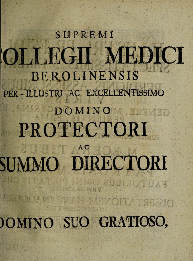 SUPREMI PER - ILLUSTRI AC EXCELLENTISSIMO D&MINO PROTECTORI