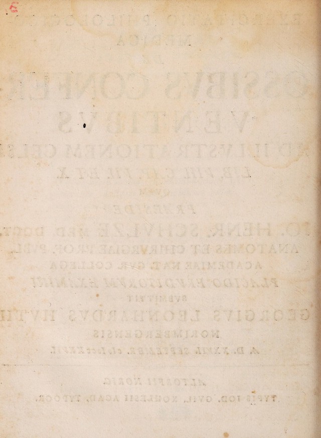 digitised image 2