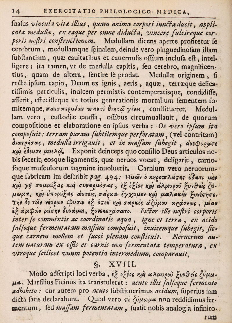 fu a fu s vincula vit£ illius, quam anima corpori i unci a ducit, appli¬ cata medulla, ex eaque per omne diduci a, vincere fulcireque cor* poris nojlri conjlruHionem• Medullam dicens aperte profitetur (e cerebrum , medullamque fpinalem, deinde vero pinguedinofam illam fubftantiam , quae cauitatibus et cauernulis offium inclufa eft, intel- ligere : ita tamen, vt de medulla capitis, feu cerebro, magnificen- ; tius, quam de altera, fentire fe prodat. Medullae originem , fi rede ipfum capio, Deum ex ignis, aeris, aquae, terraeque delica- tifiimis particulis, inuicem permixtis contemperatisque, condidiffe, aderit, effeciffeque vt totius generationis mortalium fementem fo¬ mitemque, xavcnrzgfjLizv 'zravrt yl\ia , conftitueret. Medul¬ lam vero , cuftodias caufla, offibus circumuallauit, de quorum compofitione et elaboratione en ipfius verba : Os *vero ipjum itet compofuit: terram puram fubtilemque perforatam, (vel contritam) , medulla irrigauit, et in maffam fubegit , ave(ptiycre K&i iSivje pviXw. Exponit deinceps quo confilio Deus articulos no¬ bis fecerit, eosque ligamentis, quae neruos vocat, deligarit, carno- fbque mufculorum tegmine inuoluerit. Carnium vero neruorum* que fabricam ita defcribit pag. 494; Hpm 0 K^oTsrXd^g iISati fi* K&t y*i crvpiulfccts Kcq <rvv*(>{Ao<ras , b£iog rjj aXpLv^ov fyv&dg £u- poopa, y^f vTrcfAifas dvroig, ffd^aat yfff pictXctKijv ^uygyj^g. T>J¥ Si rlot vivgoov Cpvcriv ragncg u^ypLov Kgfeeag , (Atav ijrdfAQotv {Aevyji HvvdfAet, ^uvene^dcraTo, Ficlor ille nojlri corporis inter (e commixtis ac coordinatis aqua , igne et terra , ex acido [alfoque fermentatam majfam compofuit, inuicemque fubegit, fic- que carnem mollem et fucci plenam confituit. Neruorum au¬ tem naturam ex offis et carnis non fermentata temperatura , ex vtroque fctlicet vnum potentia intermedium, comparauit% §. XVIII. Modo adfcripti loci verba , o^jog tyy aXuv^ov fyvSdg typu- $xet, Marfilius Ficinus ita transtulerat: acuto illis falfoque fermento adhibito : cur autem pro acuto fubdituerimus acidum, fuperius iam dida fatis declarabunt. Quod vero rb QjpLoopci non reddidimus fer¬ mentum, fed majfam fermentatam , luafit nobis analogia infinito*, rum