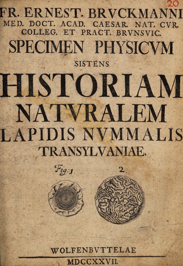 digitised image 1