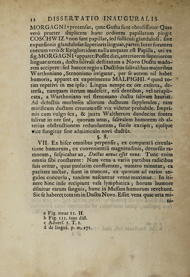 MORGAGNIaprotenfae, quaeGuflu funt obtufifiimo: Quas vero praeter duplicem hunc ordinem papillarum pingit COSCHWIZ bnon funt papillae, led folliculi glandulofi , five expanfionis glandulofaefuperiorislinguae,partes:Interforamen coecum vero &Epiglottidem nulla unquam efl Papilla, uti ex fig.MORGAGN Ic apparet: Pollet dici,anteriorem fuperiorem linguae aream, dudtu falivali deflitutam a Novo Dudiu mado¬ rem accipere: fed haecce regio a Dudtibus falivalibus majoribus Warthoniano ,Stenoniano irrigatur, per fe autem nil habet humoris, apparet ex experimento MALPIGHI. d quod to¬ ties repetivi in meipfo: Lingua nempe ex ore exferta, de- terfa, nunquam iterum madefcit, nili dentibus, veloriapli- cata, a Warthoniano vel llenoniano du£tu falivam hauriat. Ad defe&us morbofos aliorum dudluum fupplendos, tam mirificum dudlum creatum efle vix videtur probabile. Impri¬ mis cum vulgo fex, Sc juxta Waltherum duodecim fontes falivae in ore fint, quorum unus, falivalem humorem ob al¬ terius obftru&ionem redundantem, facile excipit, ejufque vice fungitur fine adminiculo novi dudlus. §. 8. VII. Ex hifce omnibus perpenfis, ex comparata circula¬ tione humorum, ex convenientia magnitudinis, decurfus ra¬ morum, fufpicabar an, DuRus novus ej/et vena. Tunc enim omnia fibi conflarent: Nam vena a variis partibus radicibus fdis oritur, quaepaulatim confluentes, numero minutae, ca pacitate auttae, fiunt in truncos, ex quorum ad varios an¬ gulos concurfu , tandem nafcuntur venae maximae.. In iti¬ nere hinc inde recipiunt vafa lymphatica * horum humore diluitur earum fanguis, hunc in Maliam humorum revehunt. Sic fe haberet tota res in Du£tu Novo. Efiet vena quae orta mi- ni- a Fig. meae ii. H. b Fig. ui. luae ditf. e Adverf. r. T. i. d de lingua, p. m,>71. 1 * . '