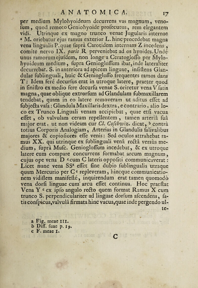 per medium Mylohyoideum decurrens vas magnum, veno- fum, quod remoto Geniohyoide profecutus, rem elegantem vidi. Utrinque ex magno trunco venae Jugularis internae a M. oriebatur ejus ramus exterior L. hinc procedebat magna vena lingualis P.quae fupra Carotidem internam Z incedens , comite nervo IX. -paris R perveniebat ad os hyoides.Unde unus ramorum ejufdem, non longe a Ceratoglofio per Mylo¬ hyoideum medium, fupra Geniogloflum ibat,inde lateraliter decurrebat. S. in anteriora ad apicem linguae, infiftens Glan¬ dulae fublinguali, huic & Genioglofio frequentes ramos dans T: Idem fere decurfus erat in utroque latere, praeter quod in finiftro ex medio fere decurfu venae S. oriretur vena V fatis magna, quae oblique extrorfum ad Glandulam fubmaxillarem tendebat, quam in eo latere removeram ut aditus efiet ad fubje&a vafa: Glandula Maxillaris dextra, e contrario, alio lo¬ co ex Trunco Linguali venam accipiebat , quae etfi vacua eflet , ob valvulam ceram repellentem , tamen arteria fua major erat> ut non videam cur Cl. Cofchwiz. dicat, b contra totius Corporis Analogiam, Arterias in Glandulis falivalibus majores copiofiores efle venis: Sed oculos attrahebat ra¬ mus XX. qui utrinque ex fublinguali venii re£ta versus me¬ dium, fupra Mufc. Geniogloflum incedebat, Sc ex utroque latere cum compare concurrens formabat arcum magnum, cujus ope vena D Ccum G lateris oppoiiti communicaverat: Licet nunc vena SSa eflet fine dubio fublingualis utraque quam Mercurio per Cc repleveram, hincque communicatio¬ nem vidiflem manifefte, inquirendum erat tamen quomodo vena dorfi linguae cum’ arcu eflet continua. Hoc praeflat Vena Y c ex ipfo angulo refto quem format Ramus X cum trunco S. perpendiculariter ad linguae dorfum afcendens, fa¬ tis confpicua,valvula firmata hinc vacua,quae inde pergendo ul- te- a Fig. meae ili. b DifT. Tuae p. 19. c F. meae 1« C