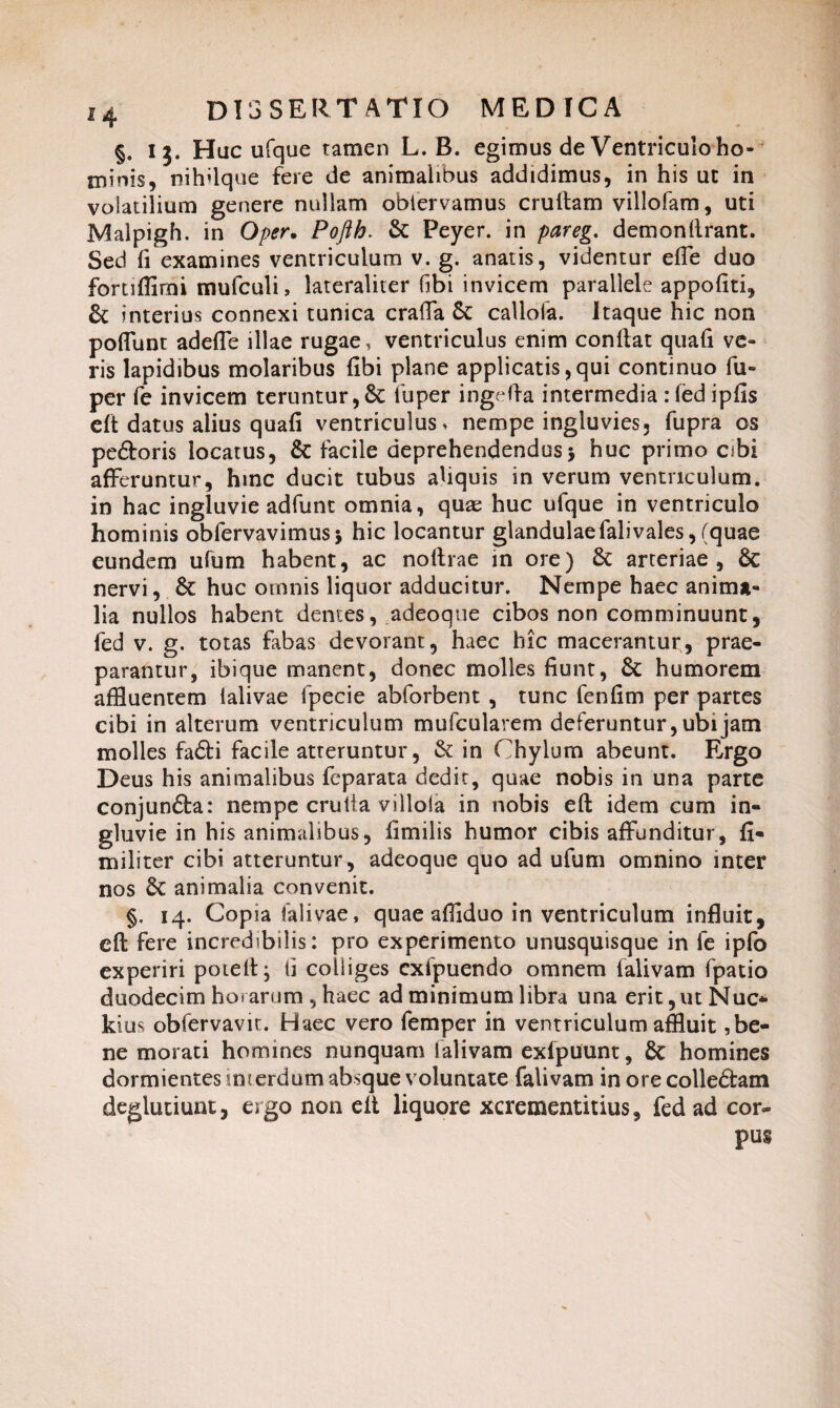 §. ij. Huc ufque tamen L. B. egimus de Ventriculo ho¬ minis, nihilque fere de animalibus addidimus, in his ut in volatilium genere nullam obtervamus crufiam villofam, uti Malpigh. in Oper. Pofth. & Peyer. in pareg. demonfirant. Sed fi examines ventriculum v. g. anatis, videntur effe duo fortifiimi mufculi, lateraliter fibi invicem parallele appofiti, & interius connexi tunica craffa calloia. Itaque hic non poliunt adefle illae rugae, ventriculus enim confiat quafi ve¬ ris lapidibus molaribus fibi plane applicatis,qui continuo fu- per fe invicem teruntur,& lbper ingefia intermedia : fed ipfis efi datus alius quafi ventriculus, nempe ingluvies, fupra os pedoris locatus, & facile deprehendendus5 huc primo cibi afferuntur, hinc ducit tubus aliquis in verum ventriculum, in hac ingluvie adfunt omnia, quae huc ufque in ventriculo hominis obfervavimus* hic locantur glandulaefalivales,(quae eundem ufum habent, ac nofirae in ore) 8t arteriae, & nervi, & huc omnis liquor adducitur. Nempe haec anima¬ lia nullos habent dentes, adeoque cibos non comminuunt, fed v. g. totas fabas devorant, haec hic macerantur, prae¬ parantur, ibique manent, donec molles fiunt, humorem affluentem lalivae fpecie abforbent , tunc fenfim per partes cibi in alterum ventriculum mufcularem deferuntur, ubi jam molles fadi facile atteruntur, & in Chylum abeunt. Ergo Deus his animalibus feparata dedit, quae nobis in una parte conjunda: nempe crulia villola in nobis efi idem cum in¬ gluvie in his animalibus, fimilis humor cibis affunditur, fi- militer cibi atteruntur, adeoque quo ad ufum omnino inter nos 6c animalia convenit. §. 14. Copia falivae, quae afflduo in ventriculum influit, efi fere incredibilis: pro experimento unusquisque in fe ipfo experiri potefi; ii colliges cxfpuendo omnem falivam fpatio duodecim horarum , haec ad minimum libra una erit, ut Nuc* kius obfervavit. Haec vero femper in ventriculum affluit, be¬ ne morati homines nunquam falivam exfpuunt, & homines dormientes interdum absque voluntate falivam in orecolledam deglutiunt, ergo non efi liquore xcrementitius, fed ad cor- pus