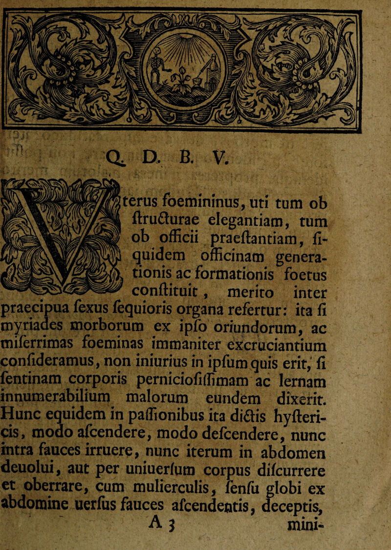 terus foemininus, uti tum ob ftrufturae elegantiam, tum ob officii praefiantiam, fi- quidem officinam genera¬ tionis ac formationis foetus conftituit, merito inter praecipua fexus fequioris organa refertur: ita fi myriades morborum ex ipfo oriundorum, ac miferrimas foeminas immaniter excruciantium confideramus, non iniurius in ipfum quis erit,' fi fentinam corporis perniciofiffimam ac lernam innumerabilium malorum eundem dixerit. Hunc equidem in paffionibus ita diftis hyfteri- cis, modo afcendere, modo defcendere, nunc intra fauces irruere, nunc iterum in abdomen deuolui, aut per uniuerfum corpus difcurrere et oberrare, cum mulierculis, fenfu globi ex abdomine uerfus fauces afcendentis, deceptis, A 3 mini-