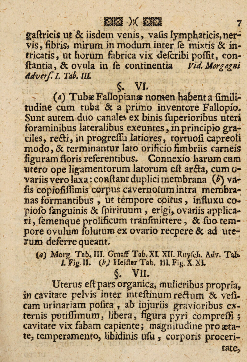 gaftricis ut & iisdem venis, vafis lymphaticis,ner¬ vis, fibris» mirum in modum inter fe mixtis & In¬ tricatis, ut horum fabrica vix defcribi poflit, con¬ flantia , & ovula in fe continentia Vid. Morgagni Adverf. L Tab. III. §. VI. - (d) Tubse Fallopianae nomen habent a fimili- tudine cum tuba 8c a primo inventore Fallopio. Sunt autem duo canales ex binis fuperioribus uteri foraminibus lateralibus exeuntes, in principio gra¬ ciles , refti, in progreflu latiores, tortuofi capreoli modo, & terminantur lato orificio fimbriis carneis figuram floris referentibus. Connexio harum cum utero ope ligamentorum latorum eft ar£ta, cum o- variis vero laxa: conflant duplici membrana (b) va¬ fis copiofifiimis corpus cavernolum intra membra¬ nas formantibus , ut tempore coitus, influxu co- piofo fanguinis & fpirituum, erigi, ovariis applica¬ ri , femenque prolificum tranfmittere, & fuo tem¬ pore ovulum folatum ex ovario recpere & ad ute¬ rum deferre queant. (a) Morg. Tab. III. Graaff Tab, XI. XII. RuyfcJj. Adv. Tab» i. Fig II. (b) Heifler Tab. IU Fig, X. XL §. Vll. Uterus eft pars organica, mulieribus propria, in cavitate pelvis inter inteftinum reftum & vefl- cam urinariam pofita , ab injuriis gravioribus ex¬ ternis potiflimum, libera, figura pyri compreffi ; cavitate vix fabam capiente; magnitudine pro asta¬ te, temperamento, libidinis ufu, corporis proceri-