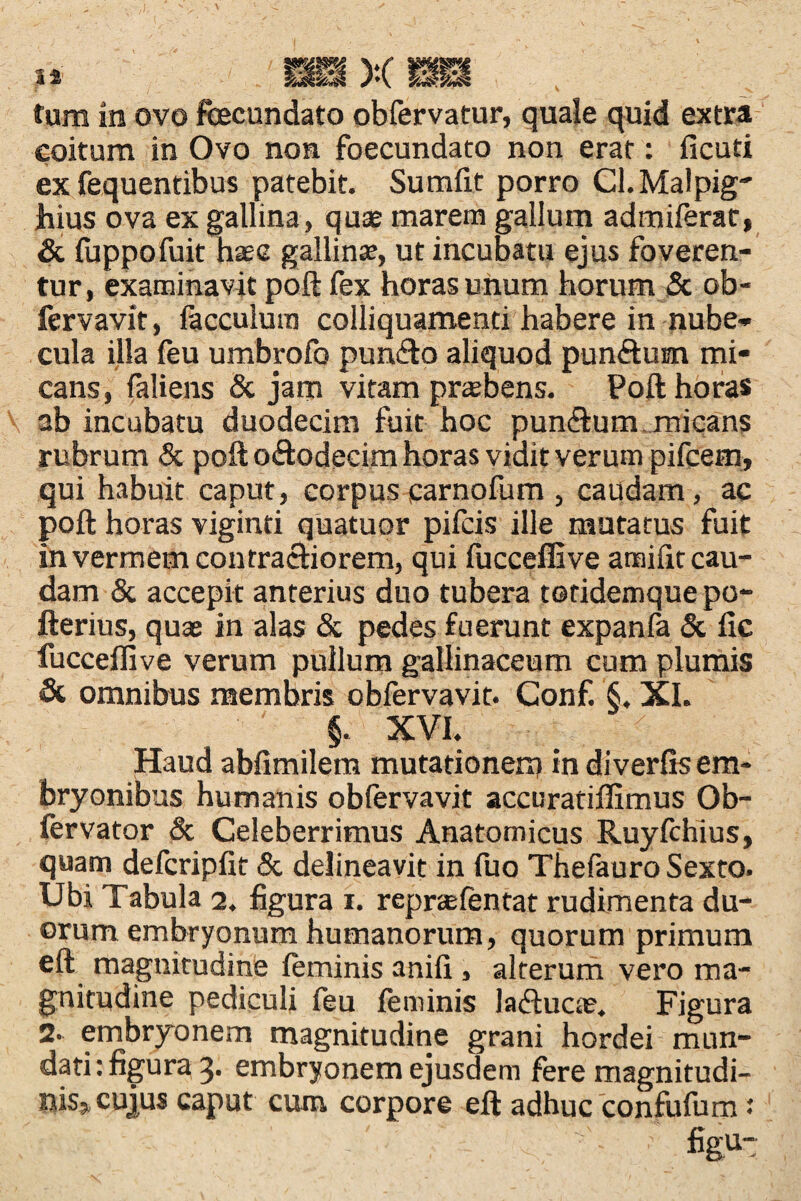 coitum in Ovo non foecundato non erat: ficati ex fequentibus patebit. Sumfit porro Cl.Malpig- hius ova ex gallina, quae marem gallum admiferat, & (uppofuit haee gallinae, ut incubatu ejus foveren¬ tur, examinavit poft fex horas unum horum & ob- fervavit, facculum colliquamend habere in nube¬ cula illa feu umbrofo purufto aliquod punftum mi¬ cans, faliens & jam vitam praebens. Poft horas ab incubatu duodecim fuit hoc pumftum micans rubrum & poft oftodecim horas vidit verum pifcem, qui habuit caput, corpus parnofum , caudam, ac poft horas viginti quatuor pifcis ille mutatus fuit in vermem contractiorem, qui fucceffive amiftt cau¬ dam & accepit anterius duo tubera totidemque po~ fterius, quae in alas & pedes fuerunt expanfa & fic fucceffive verum pullum gallinaceum cum plumis & omnibus membris obfervavit. Gonf. §, XI. Haud abfimilem mutationem in diverfis em¬ bryonibus humanis obfervavit accuratiffimus Ob- fervator & Celeberrimus Anatomicus Ruyfchius, quam defcripfit & delineavit in fuo Thelauro Sexto. Ubi Tabula 2. figura 1. reprtefentat rudimenta du¬ orum embryonum humanorum, quorum primum eft magnitudine feminis anili, alterum vero ma¬ gnitudine pediculi feu feminis la<ftucae. Figura 2. embryonem magnitudine grani hordei mun¬ dati : figura 3. embryonem ejusdem fere magnitudi¬ nis^ cujus caput cum corpore eft adhuc confufum ■