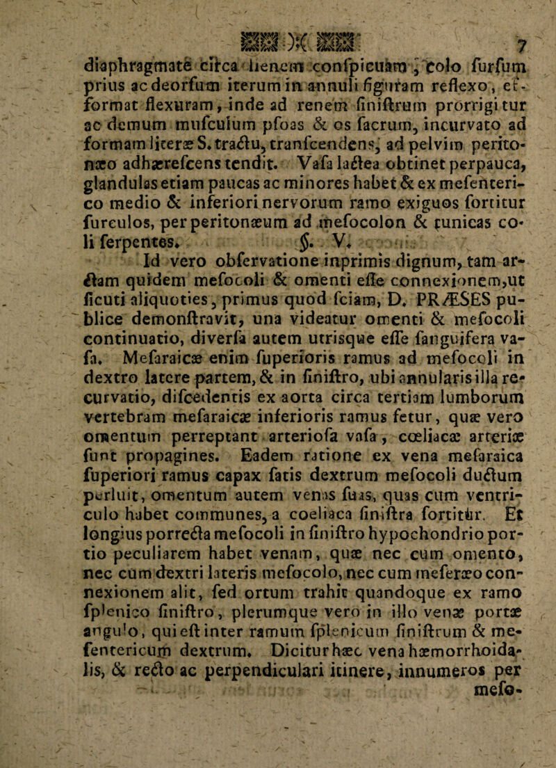 diaphragmata fcftca /lienem conipicuknv1 Colo furfutn prius acdeorfutn iterum in annuli figuram reflexo , e£- format flexuram, inde ad renem finiftrum prorrigitur ac demum mufcukim pfoas & os facrum, incurvato ad formam liter3eS.traflu3tranicendens5 ad pelvim perito¬ naeo adhserefeens tendit. Vafa laflea obtinet perpauca, glandulas etiam paucas ac minores habet & ex mefenteri- co medio & inferiori nervorum ramo exiguos forritur fureulos, per peritonaeum ad mefocolon & tunicas co¬ li ferpentes* §. V* Id vero obfervatione inprimis dignum, tam ar* dam quidem mefocoli & omenti efle connexionem,ut ficuti aliquoties 3 primus quod fciam, D* PRAESES pu¬ blice demonftravit, una videatur omenti & mefocoli continuatio, diverfa autem utrisque efle fanguifera va¬ fa* Mefaraicae enim fuperioris ramus ad mefocoli in dextro latere partem,& in finiftro, ubiannularisilla re- curvatio, difcedentis ex aorta circa tertiam lumborum vertebram mefaraicae inferioris ramus fetur, qute vero omentum perreptant arteriofa vafa , coeliacae arteriae funt propagines. Eadem ratione ex vena mefaraica fuperiori ramus capax fatis dextrum mefocoli duflum perluit, omentum autem venas fu as-, quas cum ventri¬ culo habet communes, a coeliaca finiftra fortiter. Et longius porrefla mefocoli in finiftro hypochondrio por¬ tio peculiarem habet venam, quae nec cum omento, nec cum dextri lateris mefocolo, nec cum rneferaeo con¬ nexionem alit, fed ortum trahit quandoque ex ramo fplenico finiftro, plerumque vero in illo vena* portae angulo, quieftinter ramum fplenicum finiftrum & me- fentericum dextrum* Dicitur haec vena haemorrhoida- lis, & reflo ac perpendiculari itinere, innumeros per mefo-