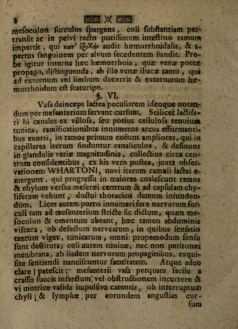 mefocqlon furculos fpargens, coli fubftantiam per- tranfit ac in pelvi reflo potiflimum inteftino ramum impertk , qui mt effiriv audit haemorrhoidalis, & a- pertus fanguinem per alvum fecedentem fundit. Pro¬ be igitur interna haec hacmorrhois , quse venx portce propago, diftinguenda, ab illo vena* iliacx ramo , qui ad externum ani limbum decurrit & externarum hae- morrhoidum eft fcaturijio. 4* VL Vafa deinceps laflea peculiarem ideoque notan¬ dum per mefenterium fervant curfum* Scilicet laflife- ri hi canales ex villofa, feu potius ceilulofa tenuium tunica, ramificationibus innumeros arcus efformanti* v bus exorti, in ramos primum coeunt ampliores, qui in capillares iterum finduntur canaliculos , & definunt in glandulis varix magnitudinis , colleflius circa cen¬ trum confidentibus , ex his vero poftea, juxta obfer- - vationem WHARTONJ, novi iterum ramuli laflei e- mergunt, qui progreffu in maiores coalefcunt ramos & chylum verfus meferxi centrum & ad capfulam chy- liferam vehunt, duflui thoracico demum infunden* dum* Licet autem porro innumeri fere nervorum fur- culi tam ad niefenterium ftrifte fic diflum, quam me- focolon & omentum abeant, hxc tamen abdominis vifcera , ob defeftum nervearum , in quibus fcnfatio tantum viget, tunicarum, omni propemodum fenfu funt deftituta; coli autem tunicae, nec non peritonaei membrana, ab iisdem nervorum propaginibus, exqui- fite fentiendi nancifcuntur facultatem; Atque adeo clare | patefeitr mefenterii vafa perquam facile a craffis fuccis infarflum’‘vel obftruflionem incurrere & vi motrice valida impulfiva carentia, ob interruptum