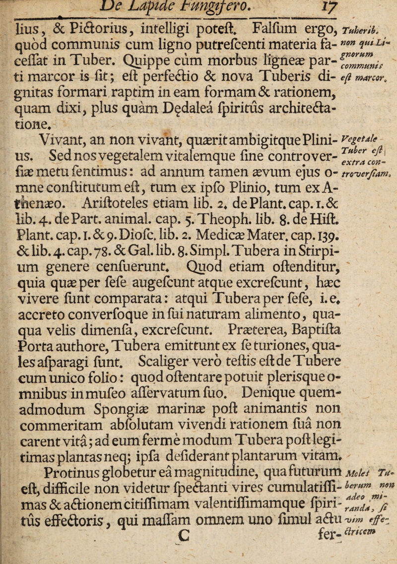 lius, & Pi&orius, intelligi poteft. Falfum ergo, Tuherib. quod communis cum ligno putrefcenti materia fa- nm TiLi~ ceflat in Tuber. Quippe cum morbus ligneae par- ti marcor is iit5 eft perfe&io & nova Tuberis di- eji marcor* gnitas formari raptim in eam formam & rationem, quam dixi, plus quam Dfdalea fpiritus architeda- tione. Vivant, an non vivant, quaerit ambigitque Plini- vegettu us. Sed nos vegetalem vitalemque fine contro ver- Tef,Zc!l- fi* metu fentimus: ad annum tamen aevum ejus o- m-ver/tam, mne conftitutum eft, tum ex ipfo Plinio, tum exA- fhenaeo. Ariftoteles etiam lib. 2, de Piant, cap. i.& lib. 4. dePart. animal, cap. 5. Theoph. lib. 8. de Hift. Piant, cap. 1. & 9. Diofc. lib. 2. Medie* Mater, cap. 139. & lib. 4. cap. 78. <Sc Gal. lib. 8. Simpl. Tubera in Stirpi¬ um genere cenfuerunt. Quod etiam oftenditur, quia quae per fefe augefeunt atque excrefcunt, haec vivere fimt comparata: atqui Tubera per fefe, i. e, accreto converfoque in fui naturam alimento, qua¬ qua velis dimenfa, excrefcunt. Praeterea, Baptifta Porta authore, Tubera emittunt ex fe turiones, qua¬ les afparagi funt. Scaliger vero teftis eft de Tubere cum unico folio: quod oftentare potuit plerisque o- mnibus inmufeo affervatum fuo. Denique quem¬ admodum Spongiae marinae poft animantis non commeritam abfolutam vivendi rationem fua non carent vita; ad eum ferme modum Tubera poft legi¬ timas plantas neq; ipfa defiderant plantarum vitam. Protinus globetur ea magnitudine, qua futurum m<,Us tu- eft, difficile non videtur fpedanti vires cumulatifli- ler“p mas & adionem citiffimam valentiffimamque fpiri-^^ tus effedoris, qui mafiam omnem uno fimul adu™» effe- G fer- <?r'Vf'w #